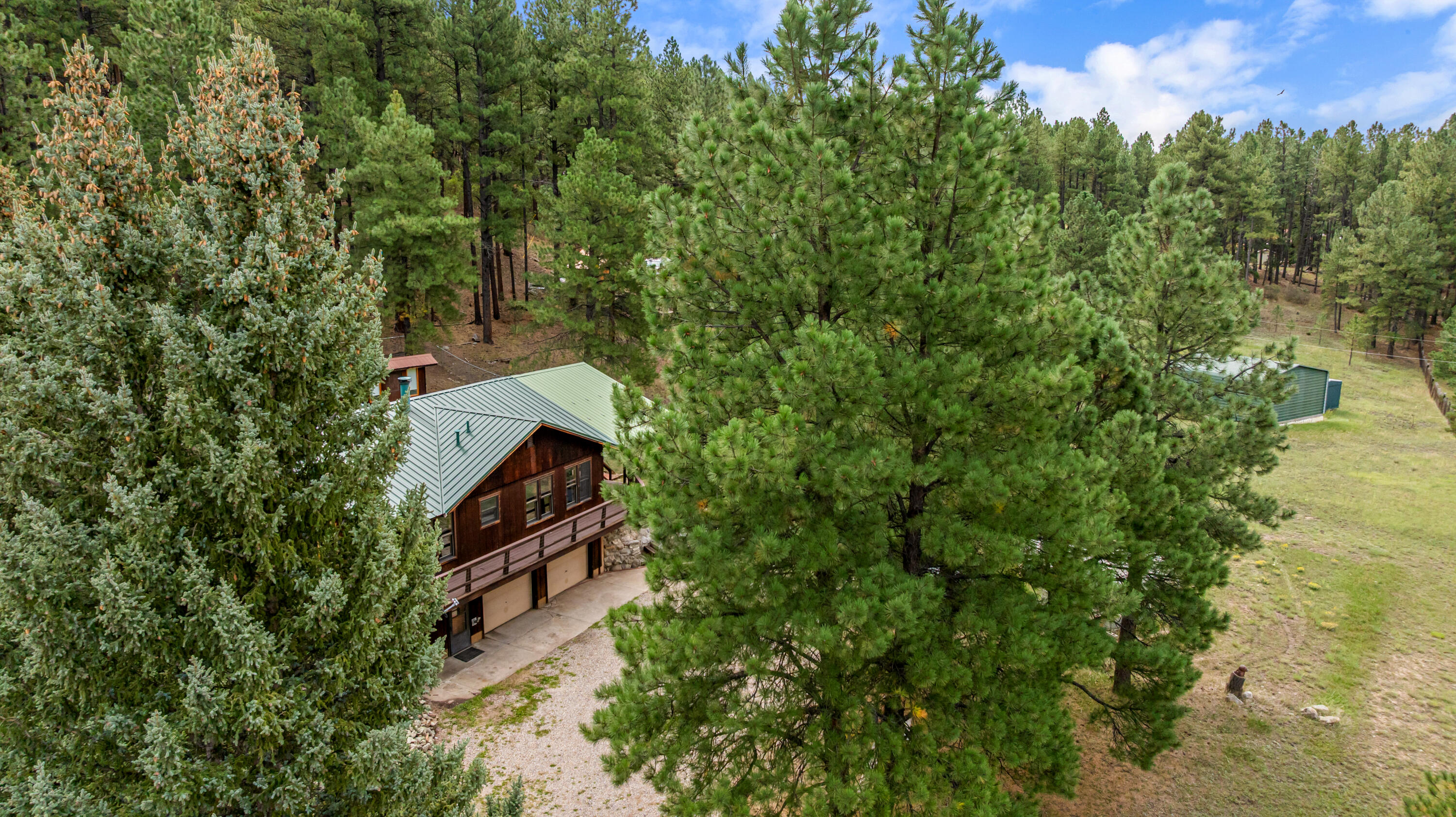 Photo 3 — 504 Elk Trail