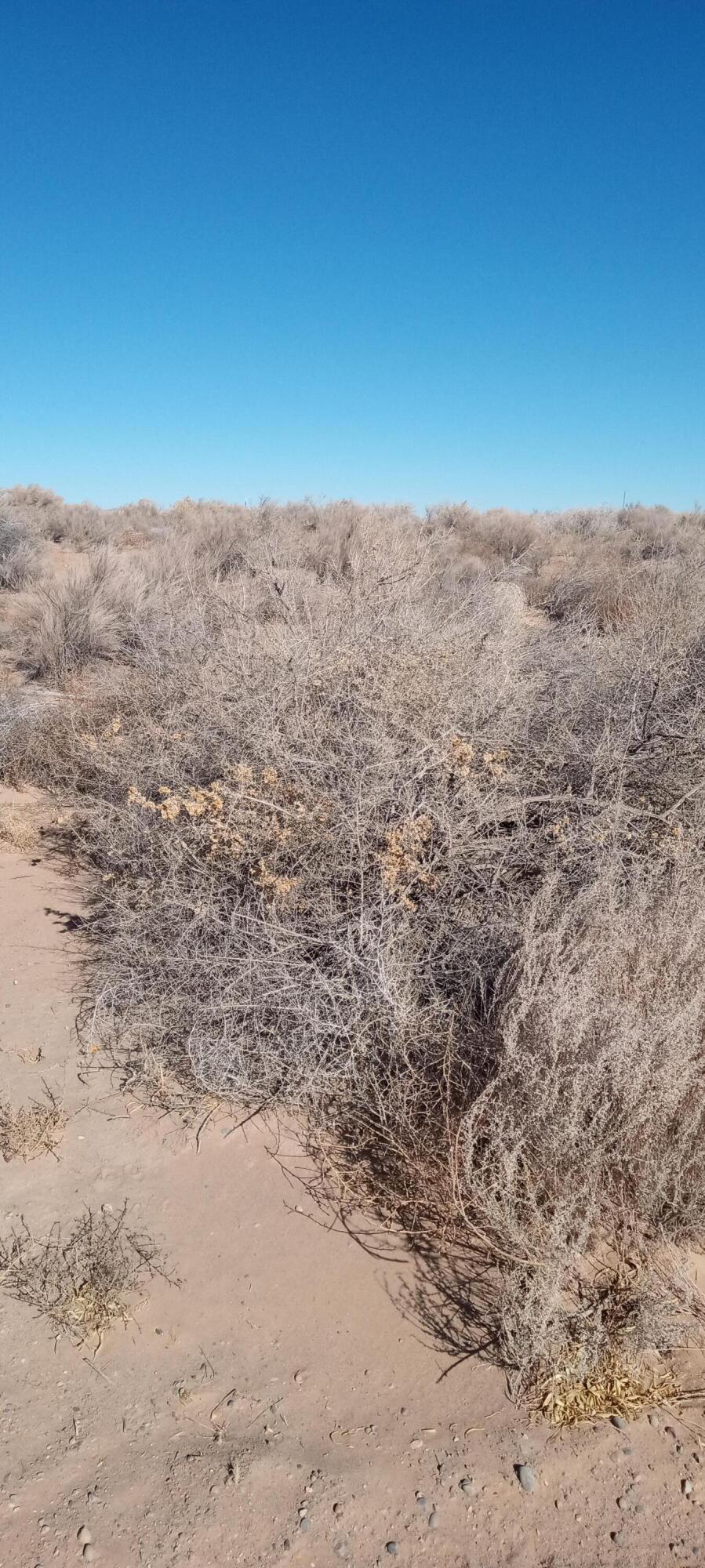 Photo 3 — 5721 Rio Arriba Road NE