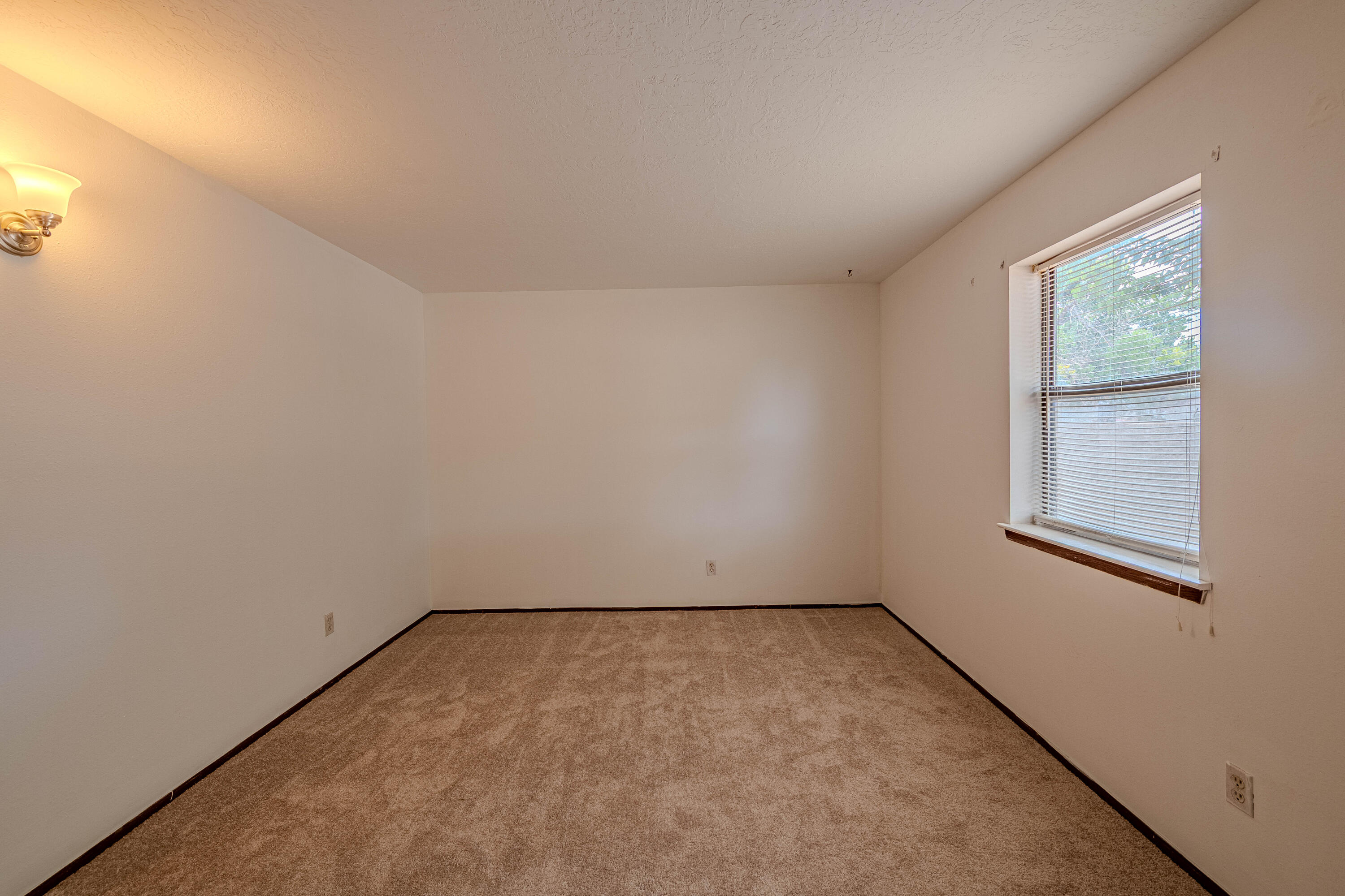 Photo 11 — 337 Los Pinos Road