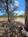 3 Deer Run Trail, Pie Town, NM 87827