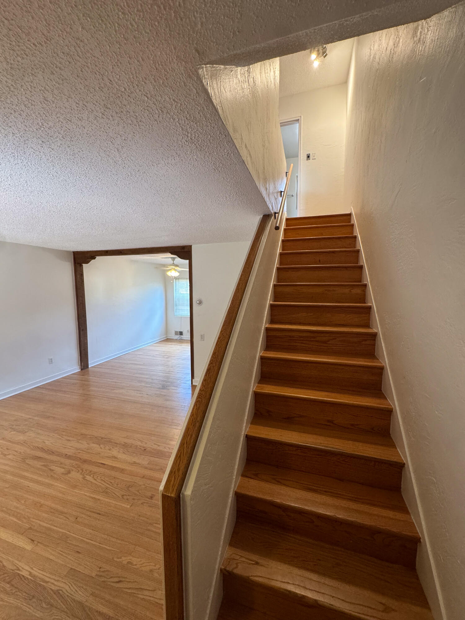 Photo 10 — 1405 San Carlos Road SW APT 7