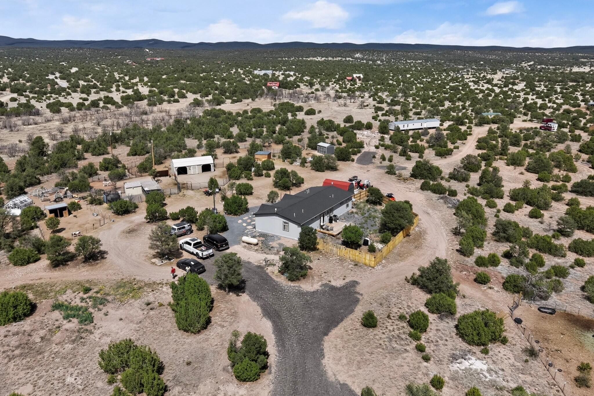 Photo 20 —  Flamigo Road