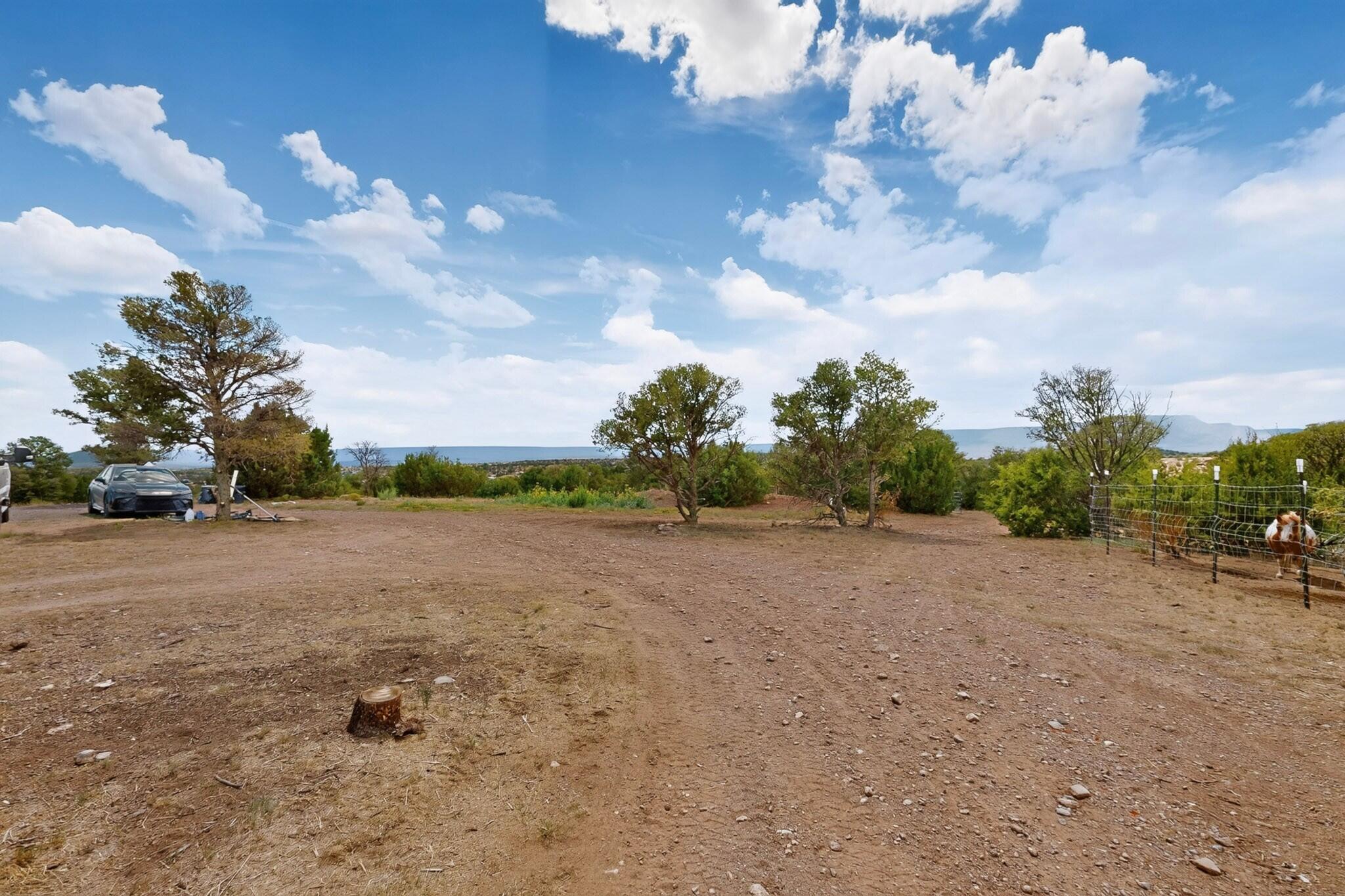 Photo 9 —  Flamigo Road