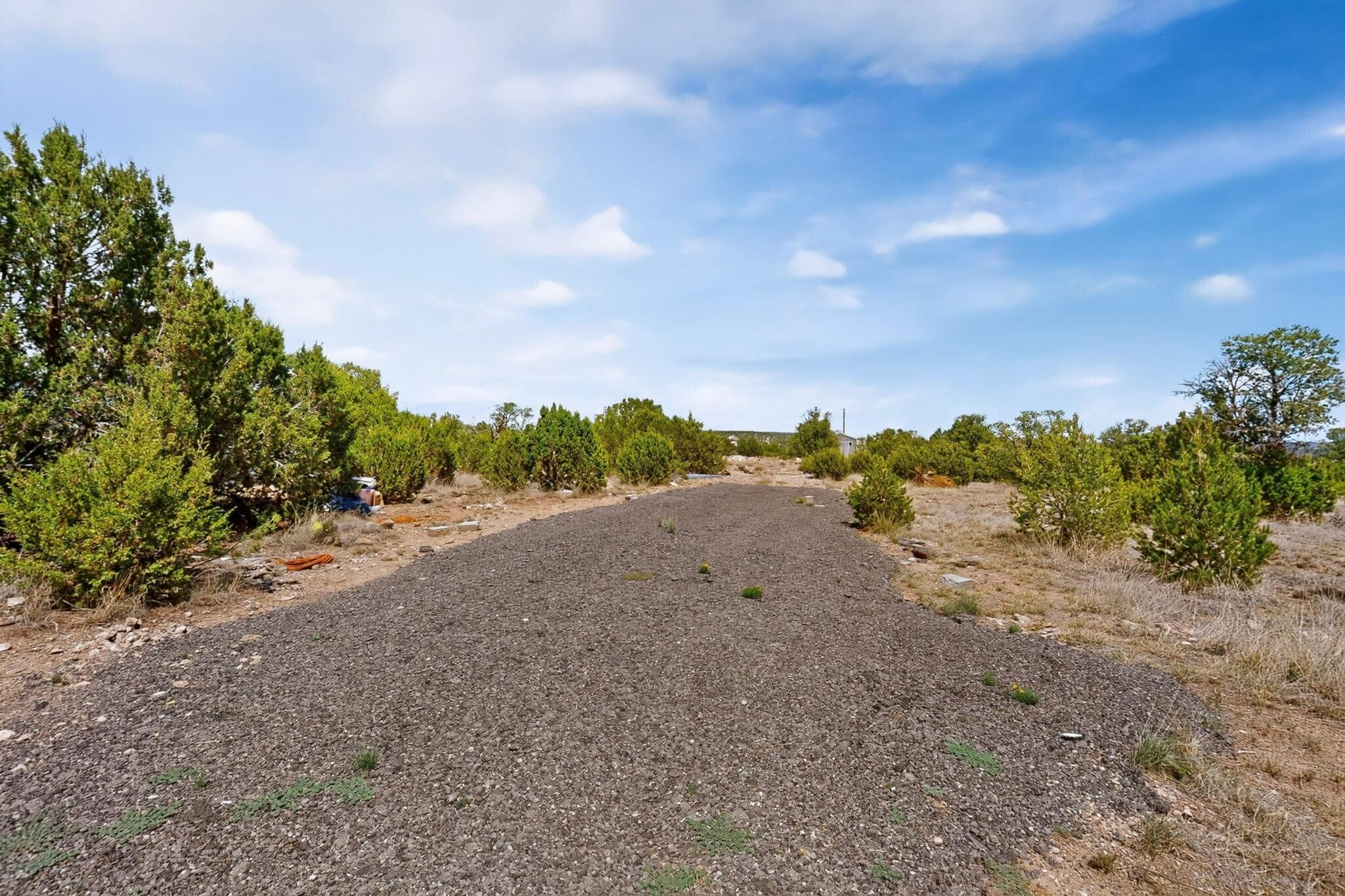 Photo 16 —  Flamigo Road