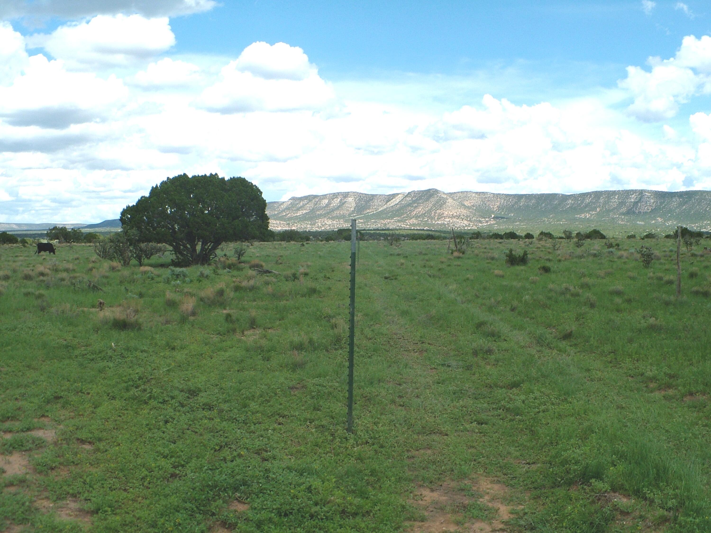 Photo 5 — 1008 Chupadero Road