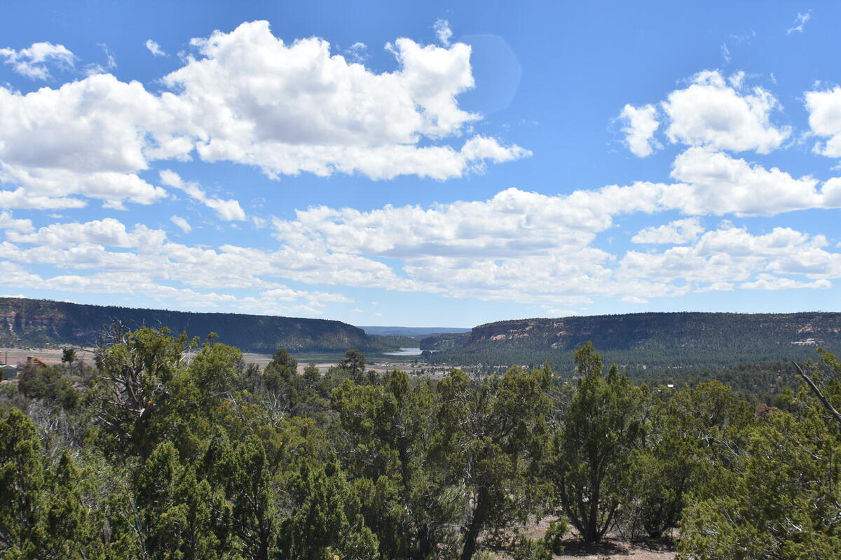 Lot 20 Sunflower Drive, Ramah, NM 87321