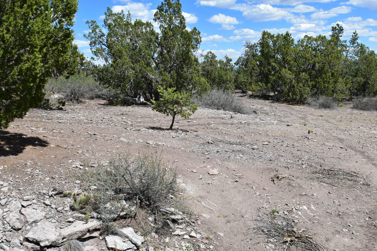 Photo 17 — Lot 20 Sunflower Drive