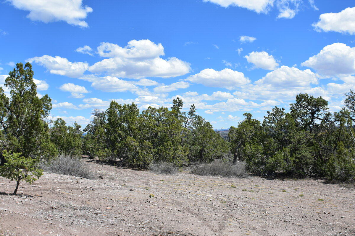 Photo 14 — Lot 20 Sunflower Drive