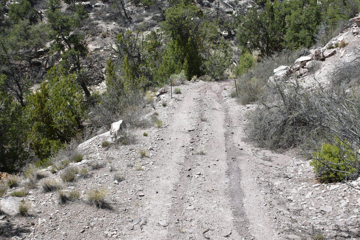 Photo 12 — Lot 20 Sunflower Drive