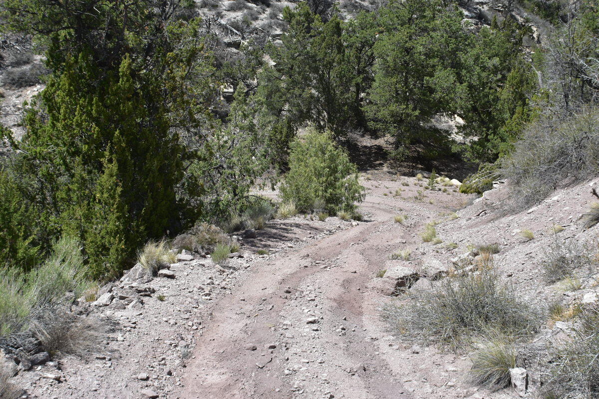 Photo 11 — Lot 20 Sunflower Drive