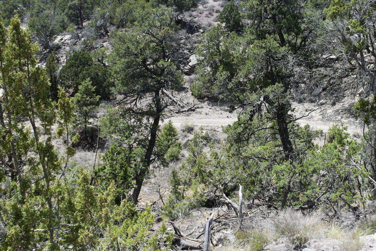 Photo 10 — Lot 20 Sunflower Drive
