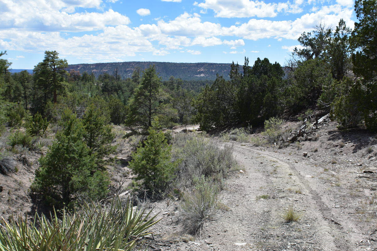 Photo 9 — Lot 20 Sunflower Drive