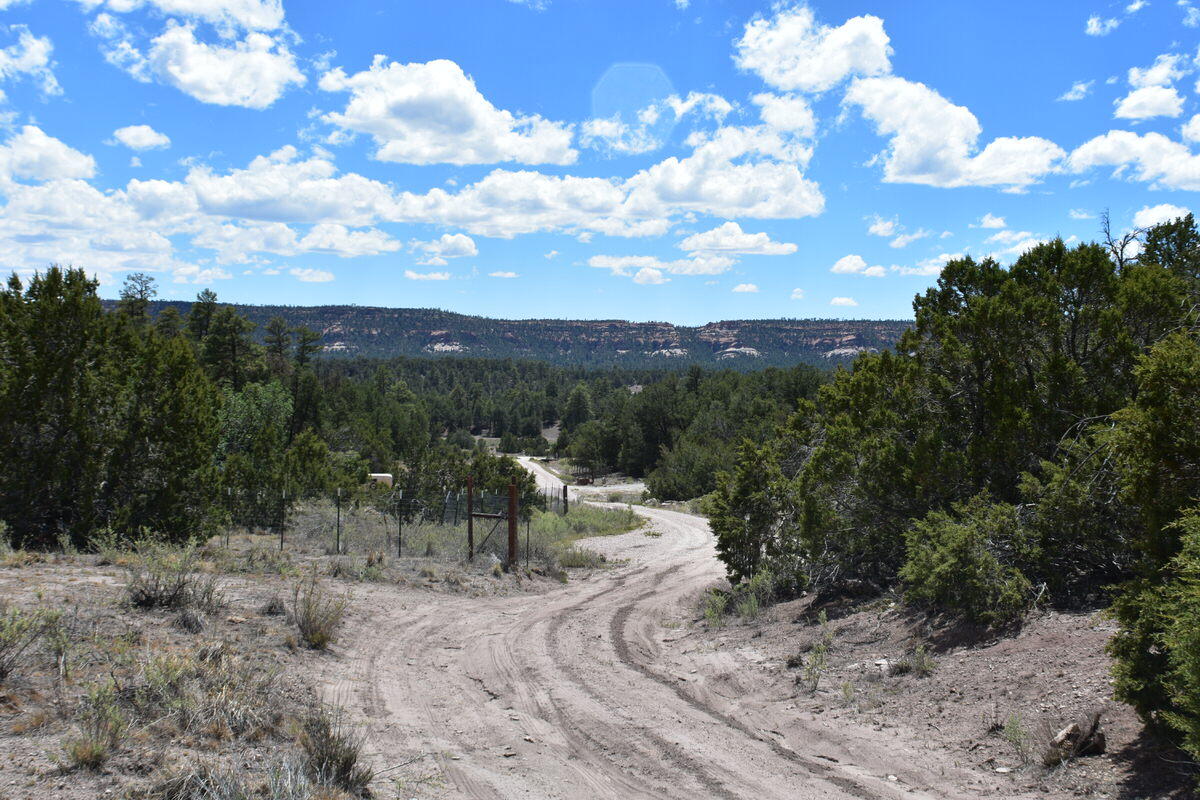 Photo 8 — Lot 20 Sunflower Drive