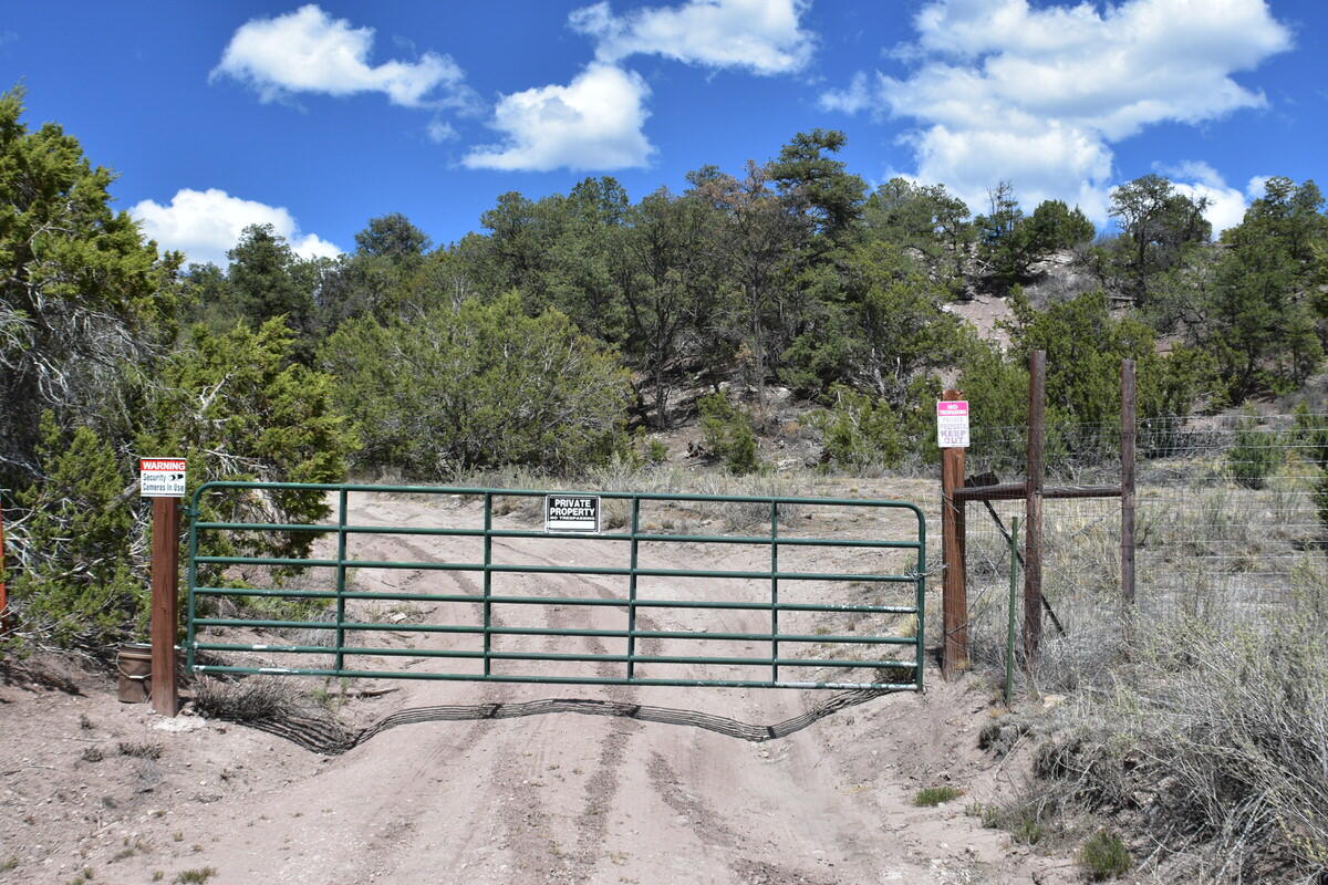 Photo 7 — Lot 20 Sunflower Drive