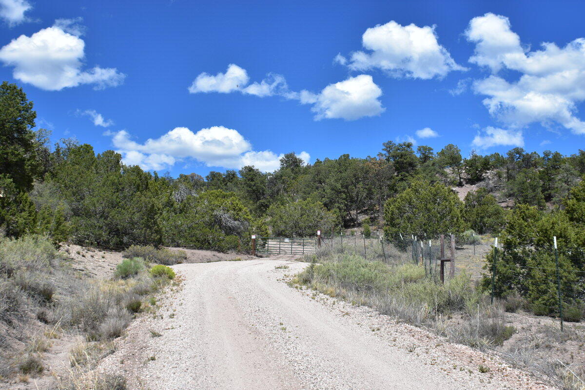 Photo 6 — Lot 20 Sunflower Drive