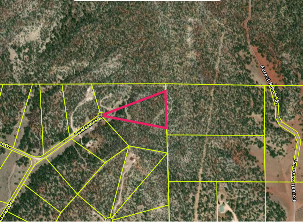 Photo 3 — Lot 20 Sunflower Drive