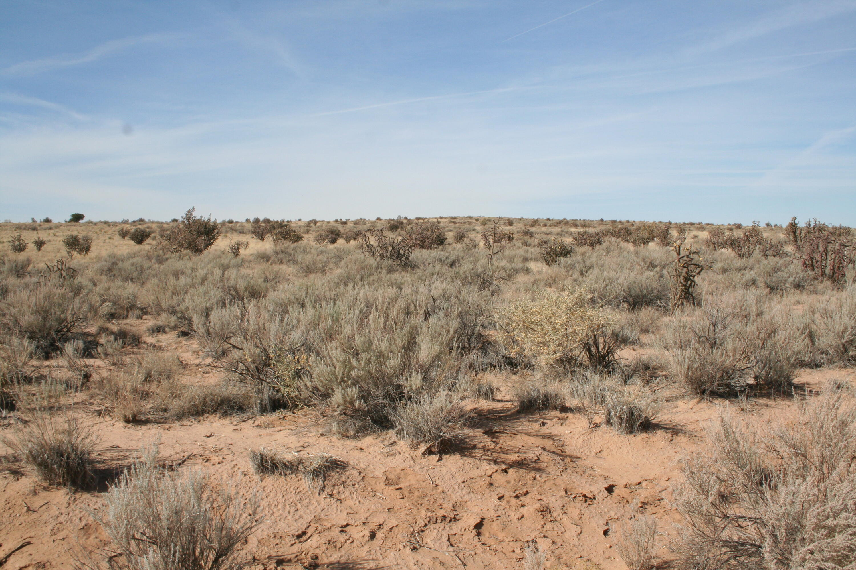 2009 17th Avenue NE, Rio Rancho, NM 87144