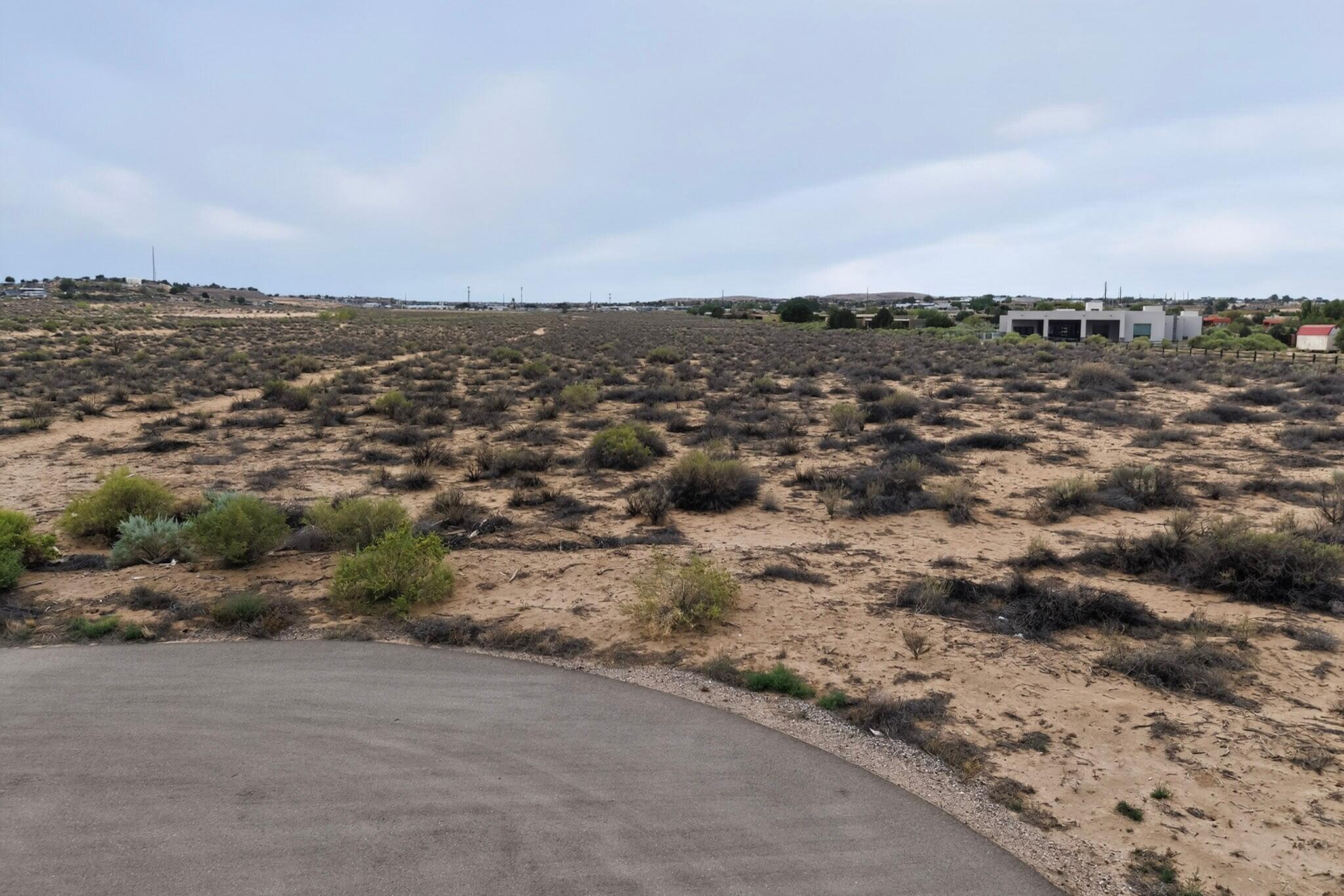 Photo 2 — 100 Desert Luna Road