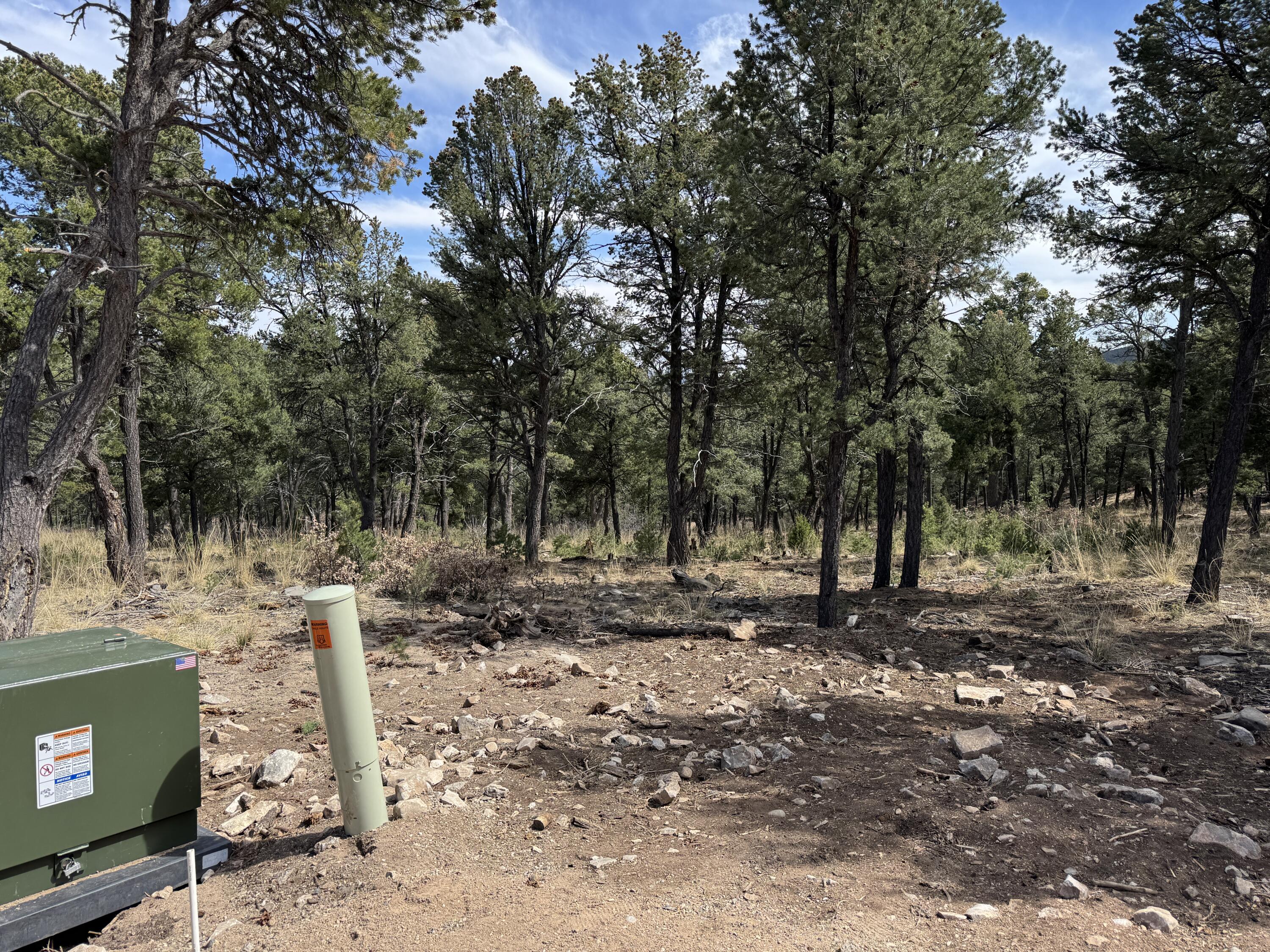  Birds of a Feather, Pecos, NM 87552
