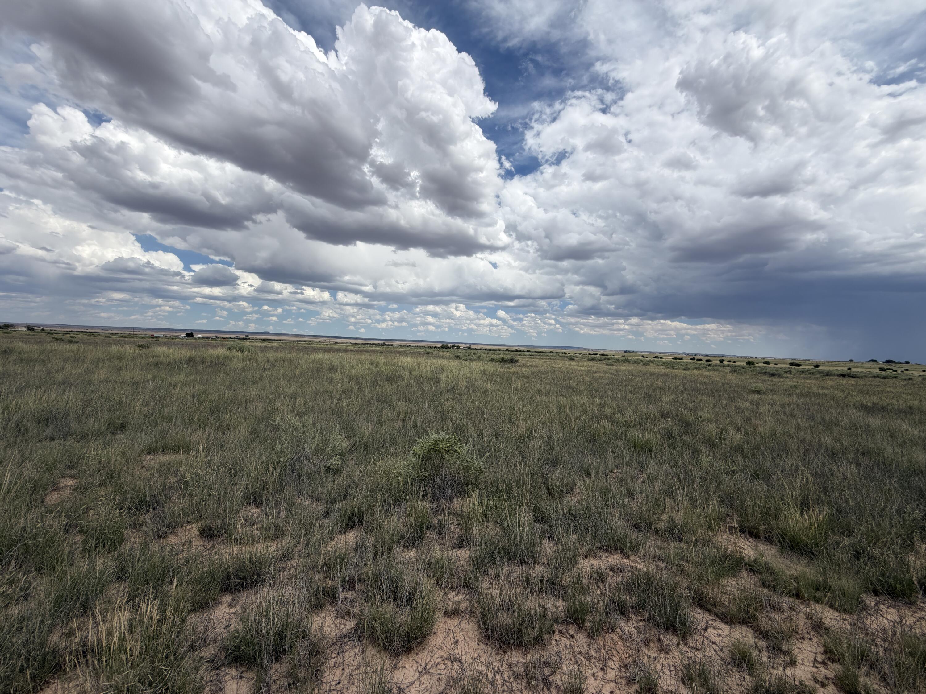 Photo 4 — Lot 48 Pegasus