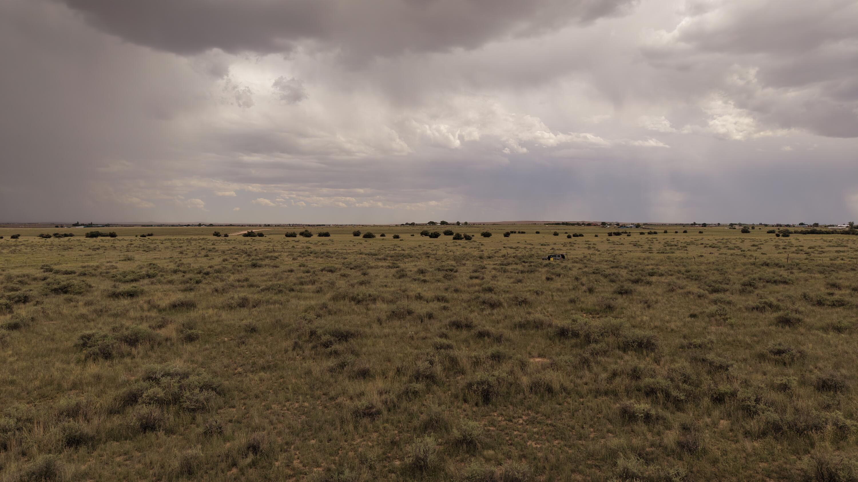 Photo 5 — Lot 48 Pegasus