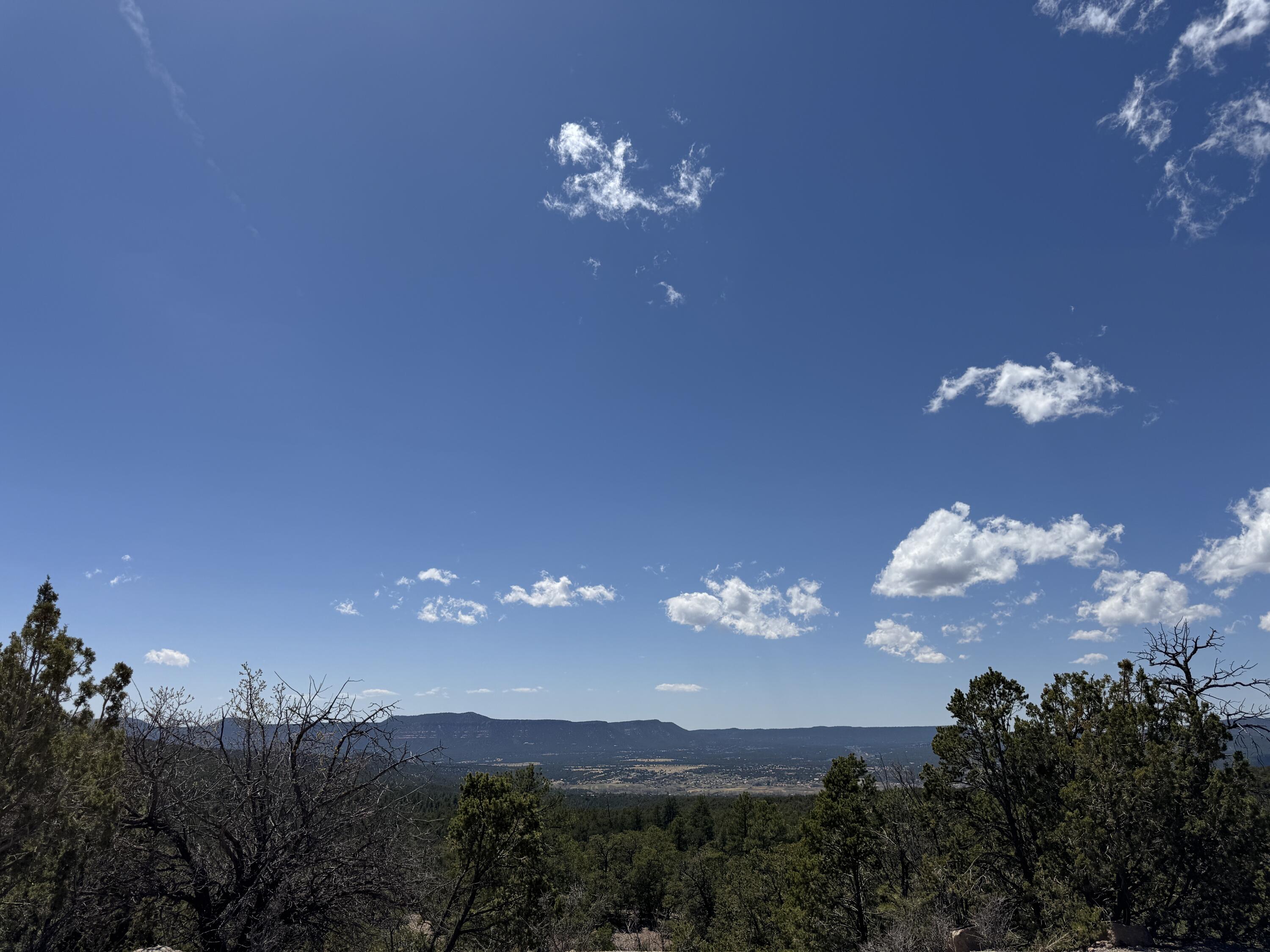 Photo 4 — 7 Dancing Hawk Drive