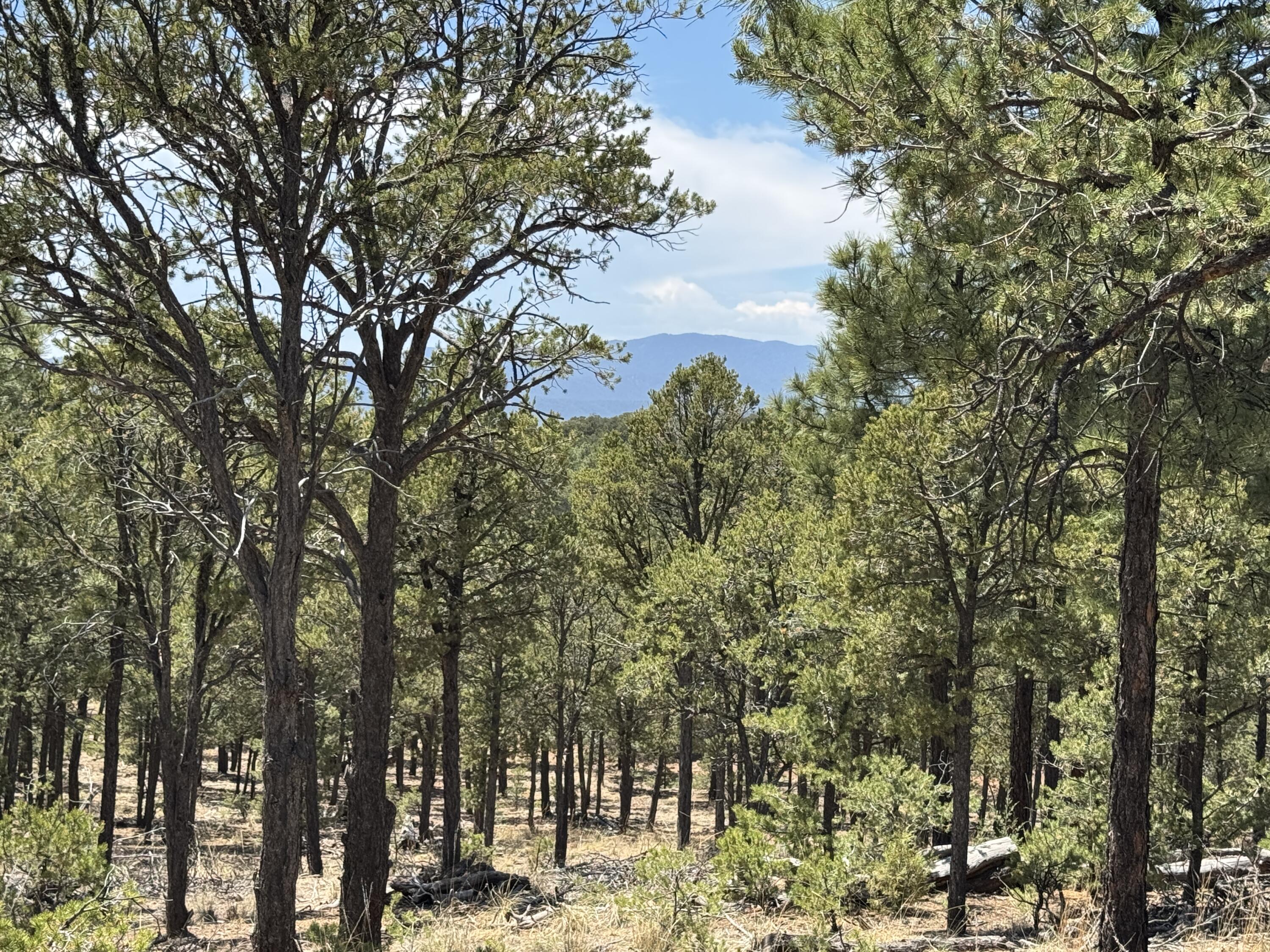 Lot 20 Dancing Hawk Drive, Pecos, NM 87552