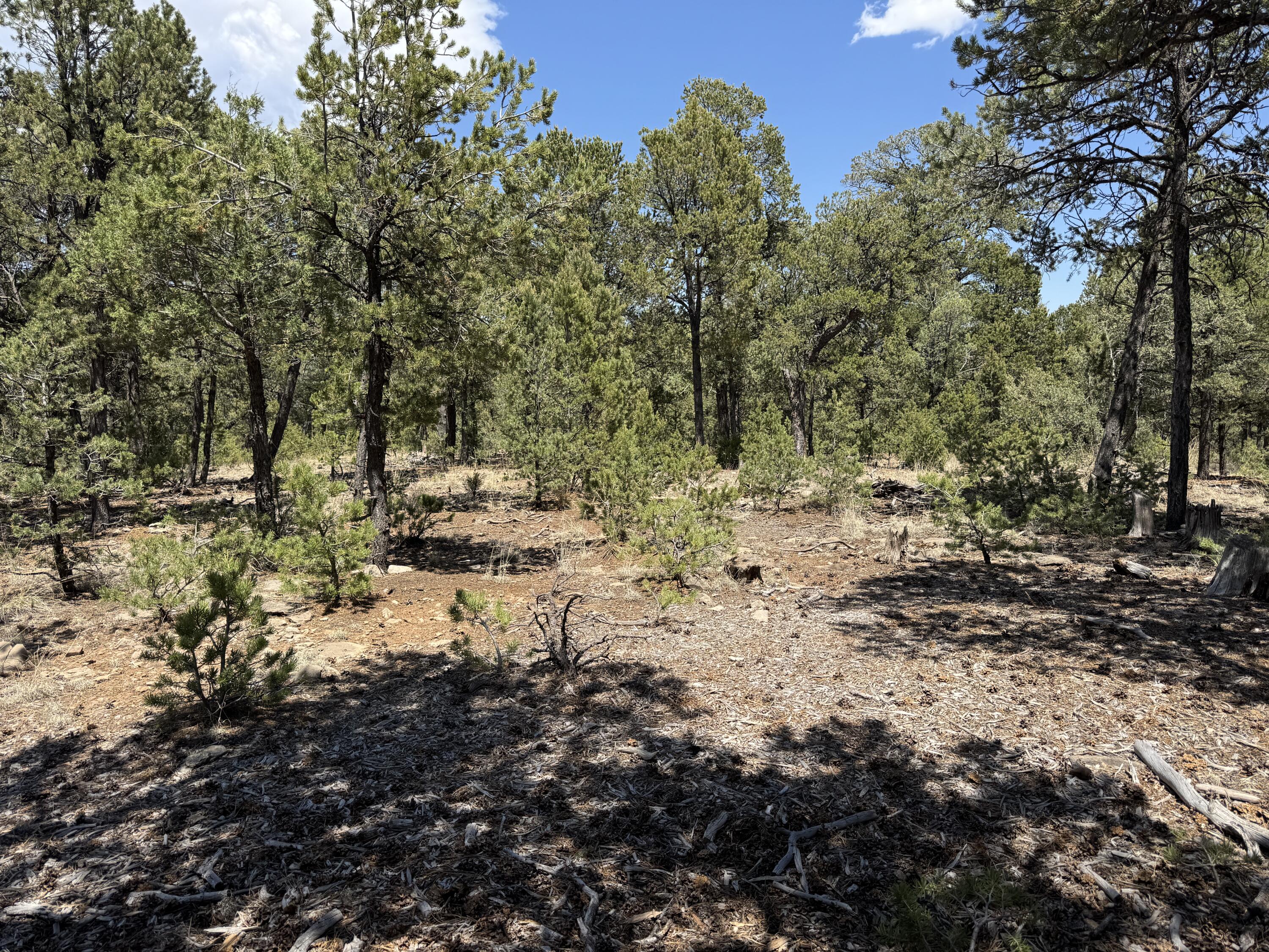 Photo 7 — Lot 20 Dancing Hawk Drive