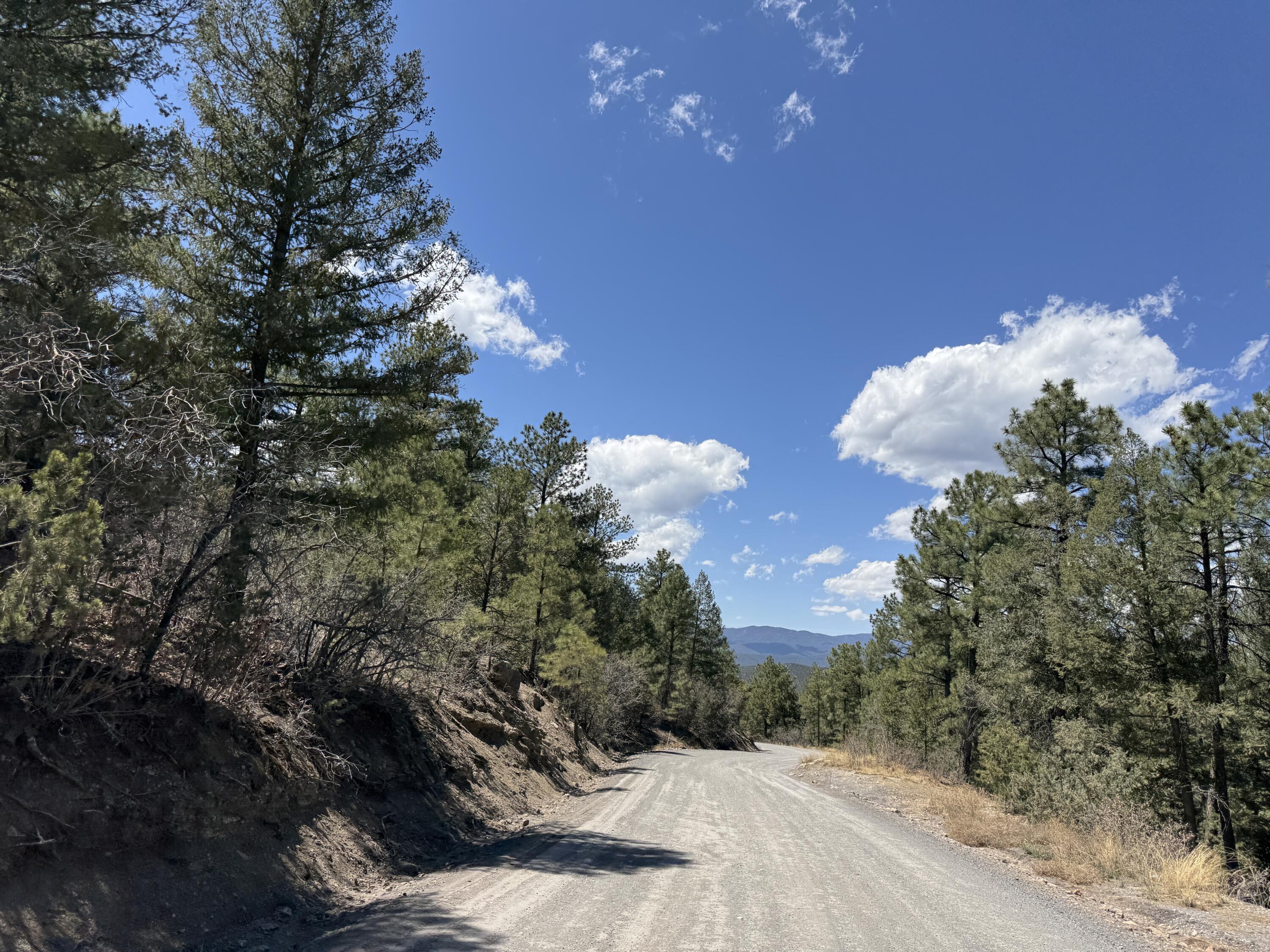 Photo 5 — Lot 20 Dancing Hawk Drive