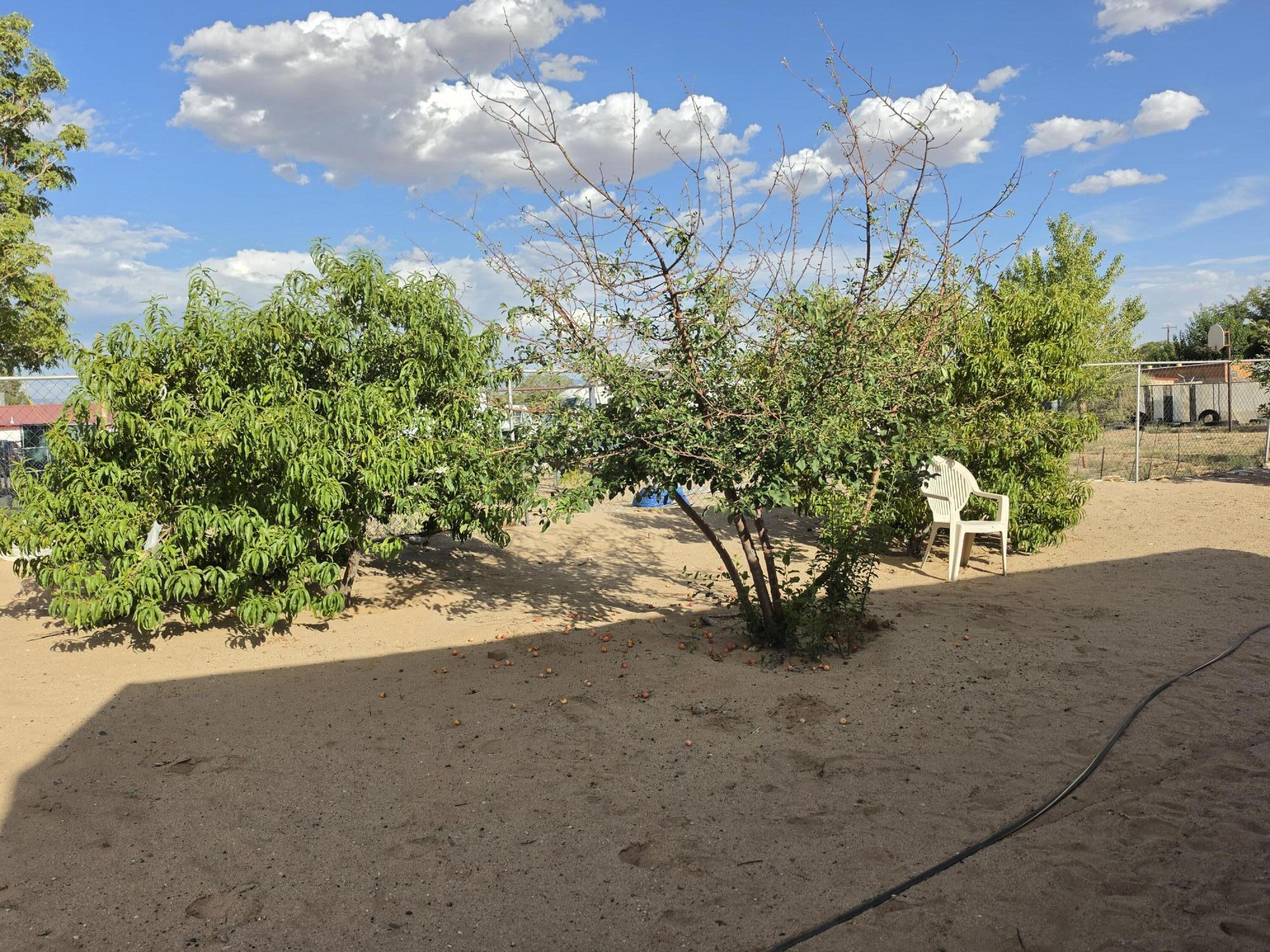 Photo 14 — 5512 Cleo Road SW
