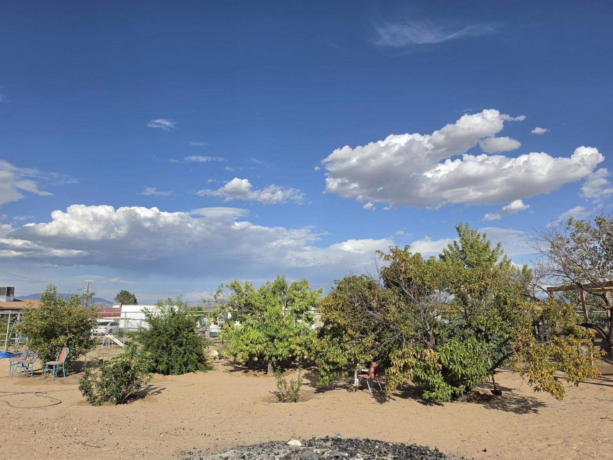 Photo 16 — 5512 Cleo Road SW