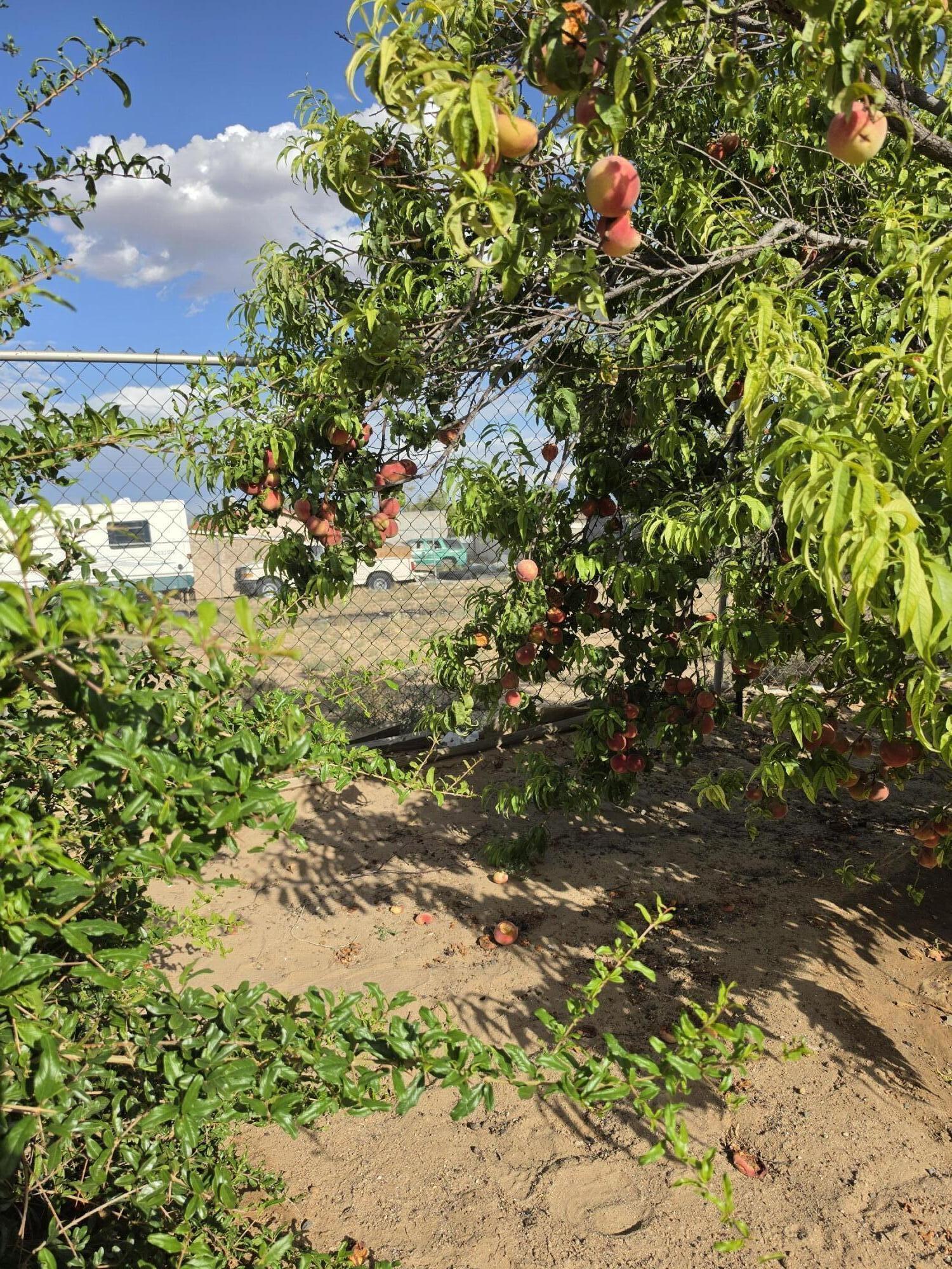 Photo 20 — 5512 Cleo Road SW