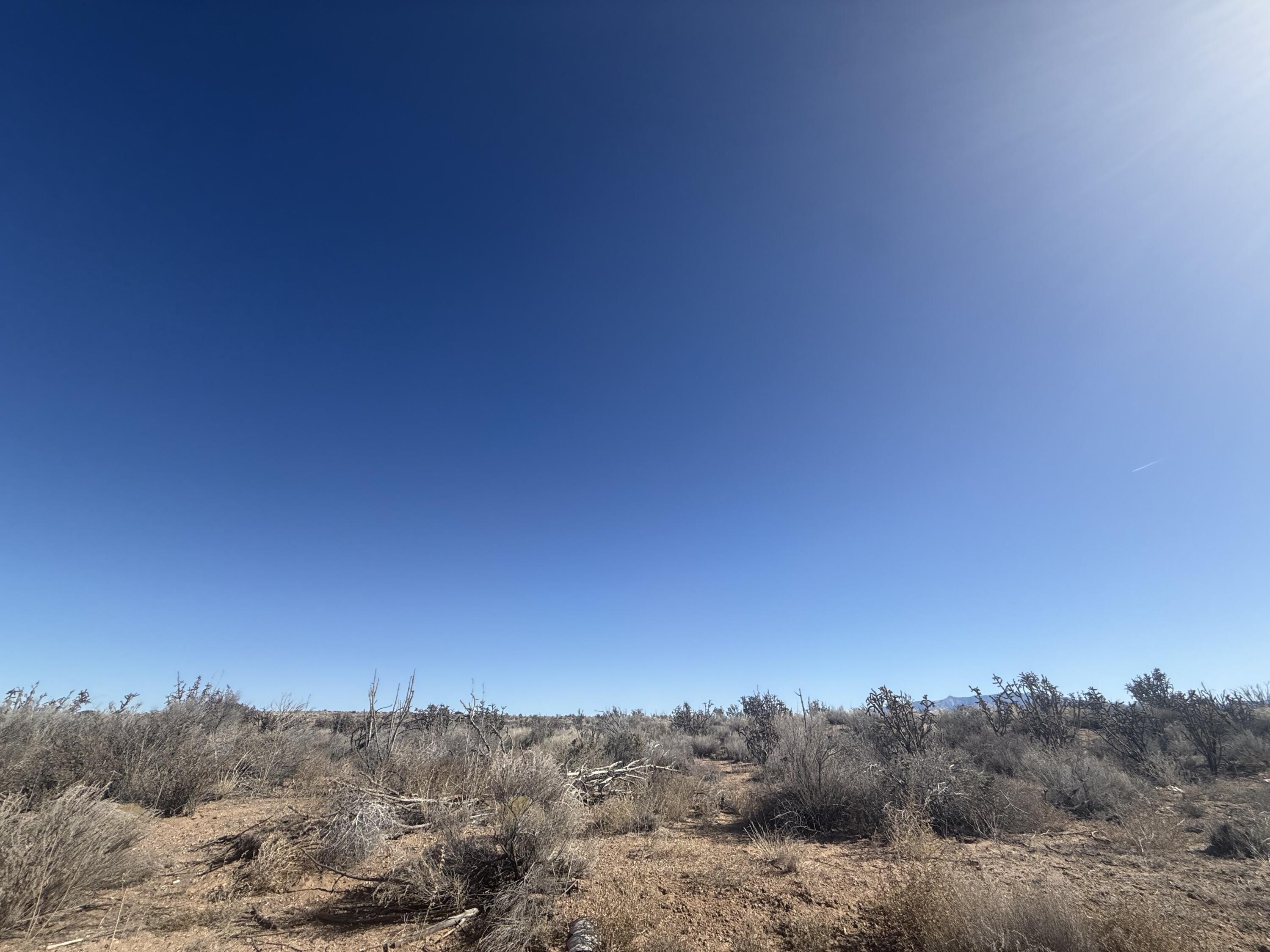 Photo 10 — U8B41L16 Hidalgo Road SW