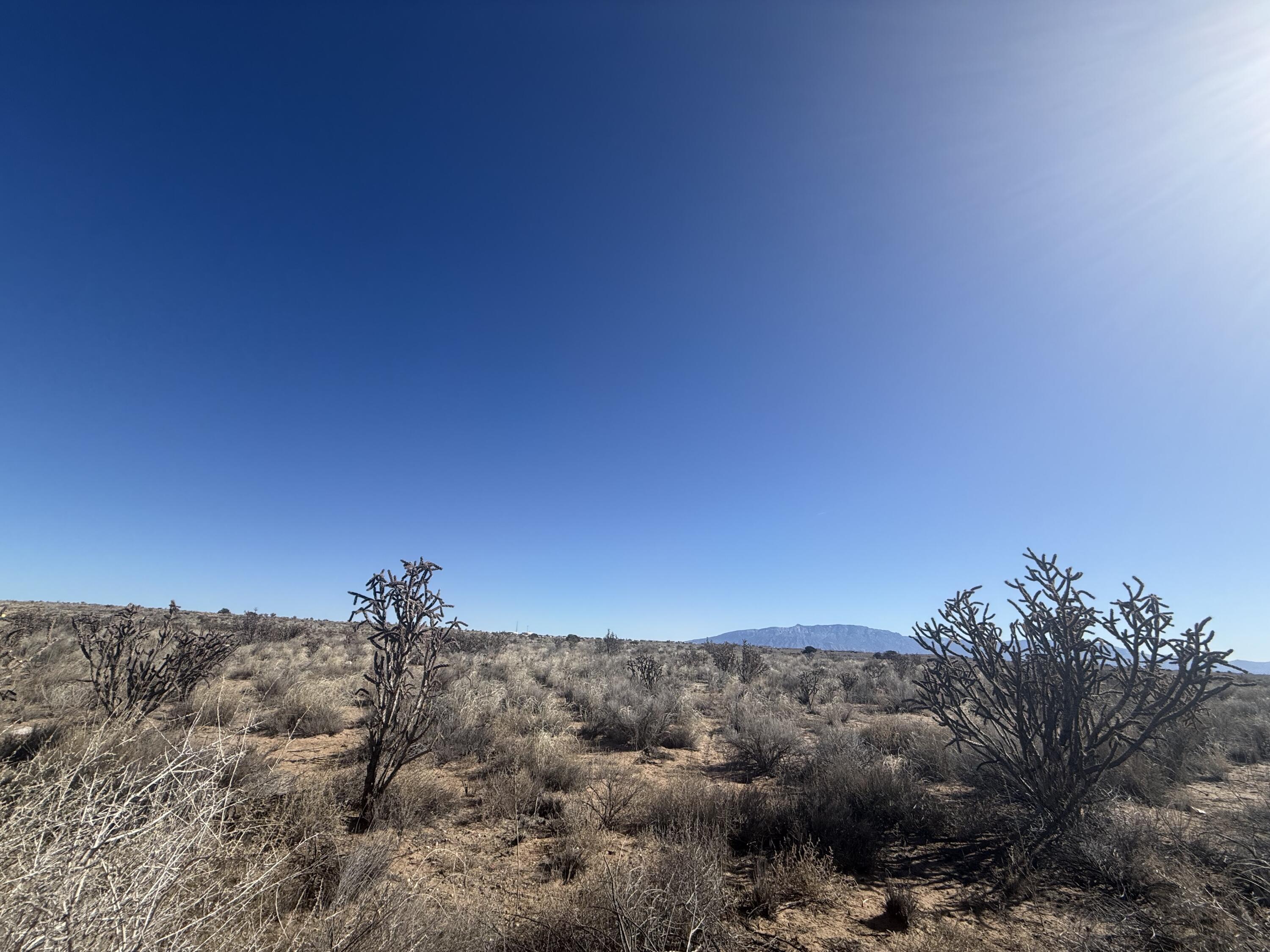 Photo 5 — U8B41L16 Hidalgo Road SW