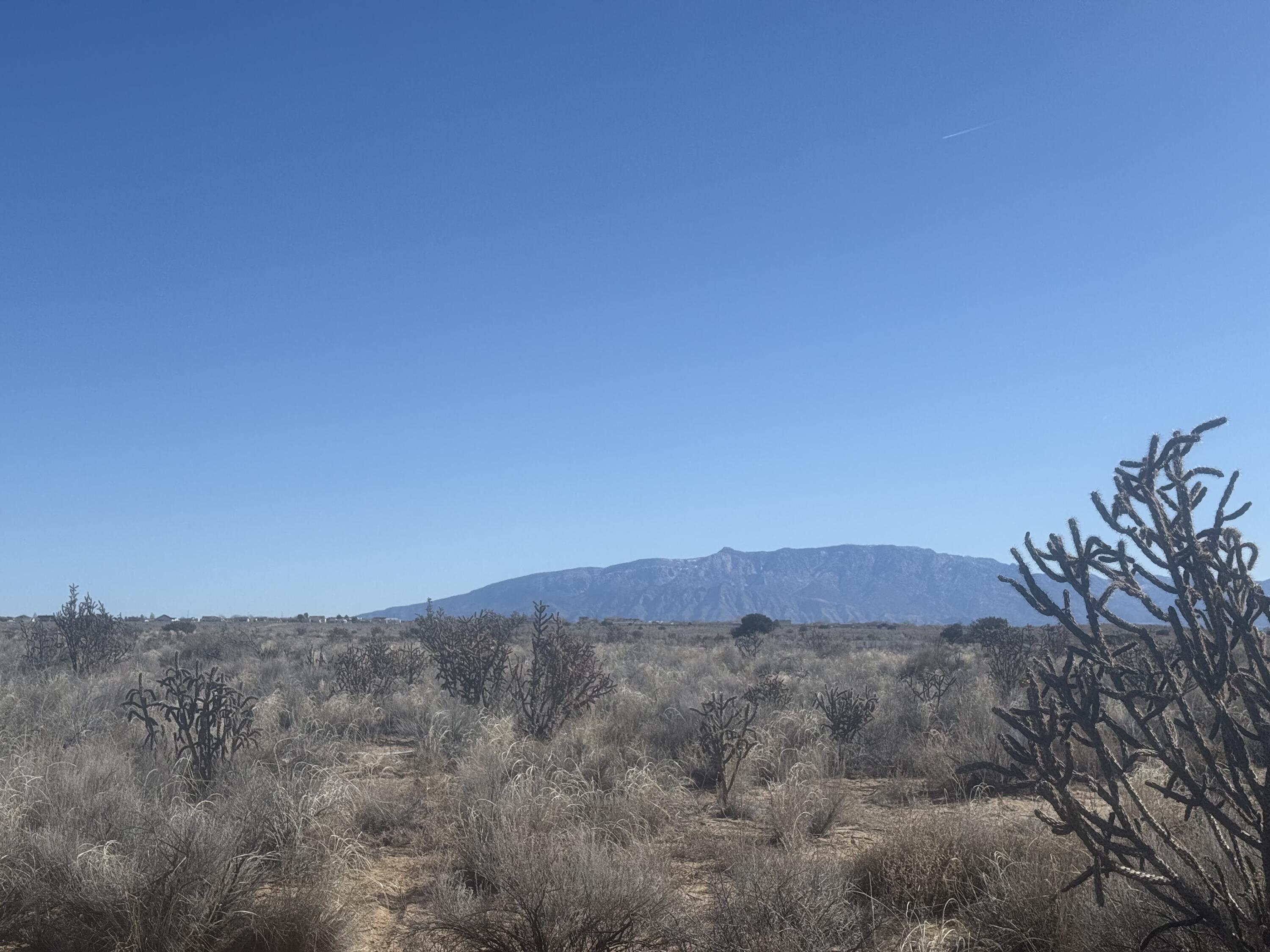 Photo 7 — U8B41L16 Hidalgo Road SW