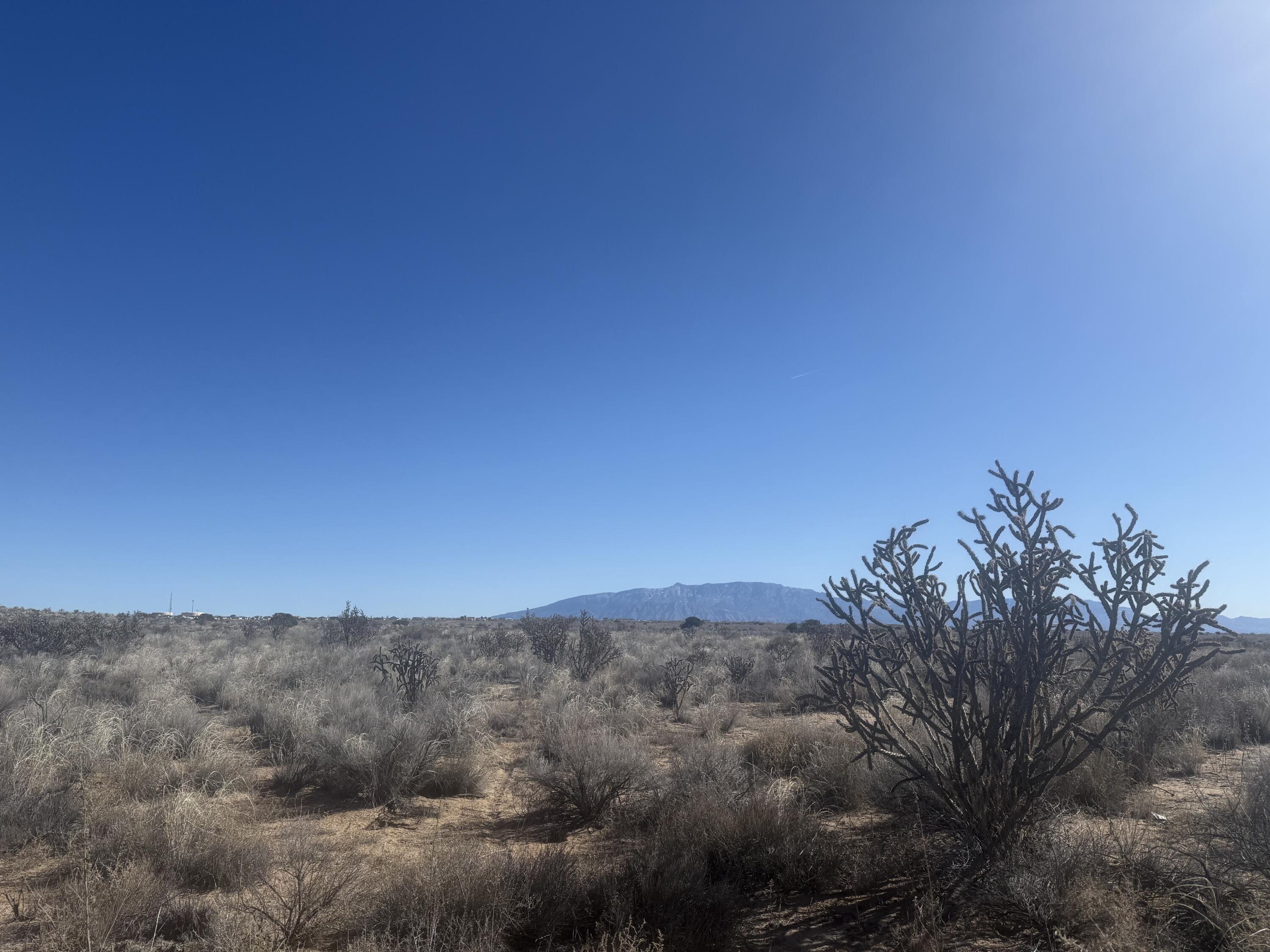 Photo 8 — U8B41L16 Hidalgo Road SW
