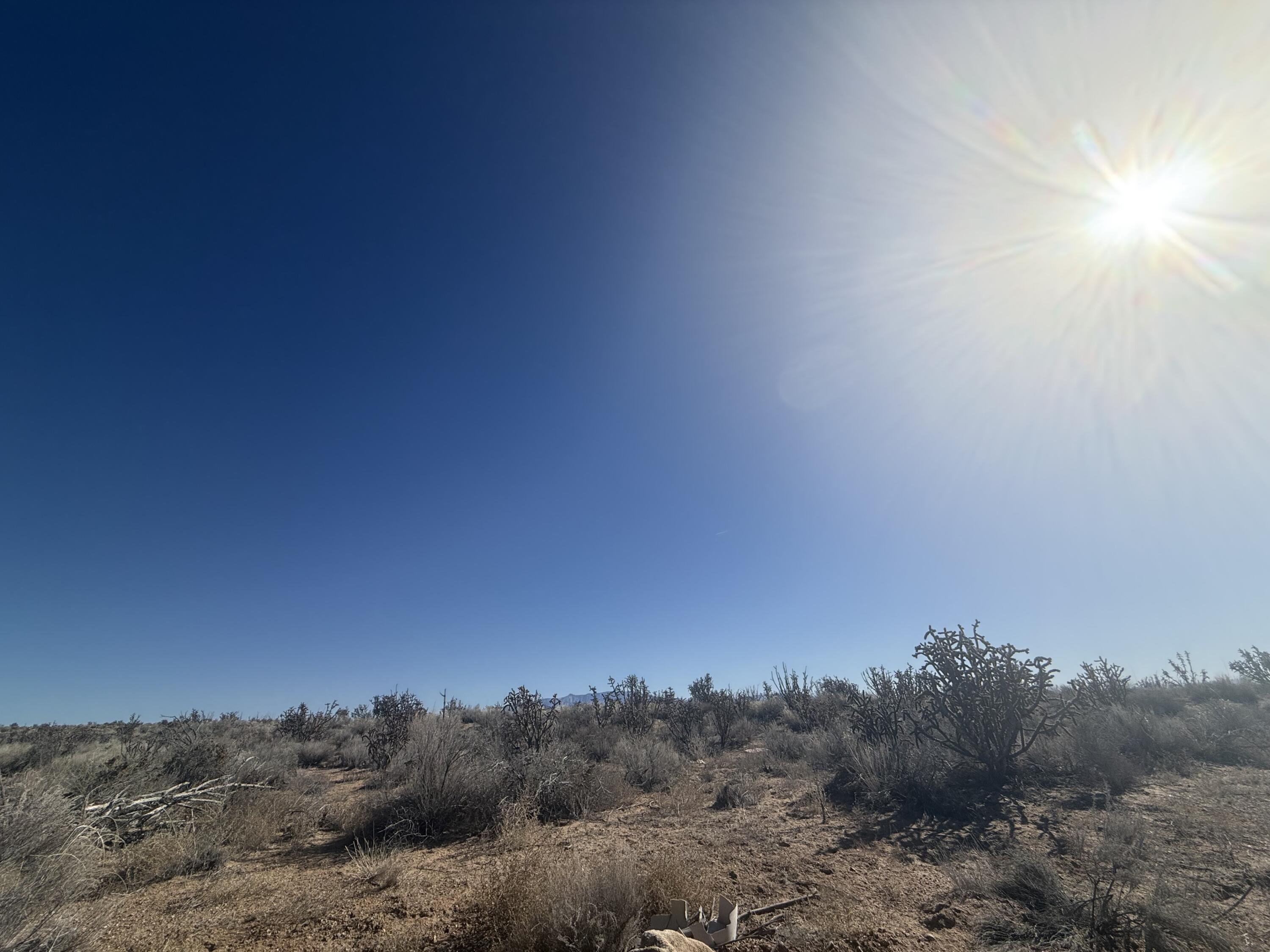 Photo 9 — U8B41L16 Hidalgo Road SW