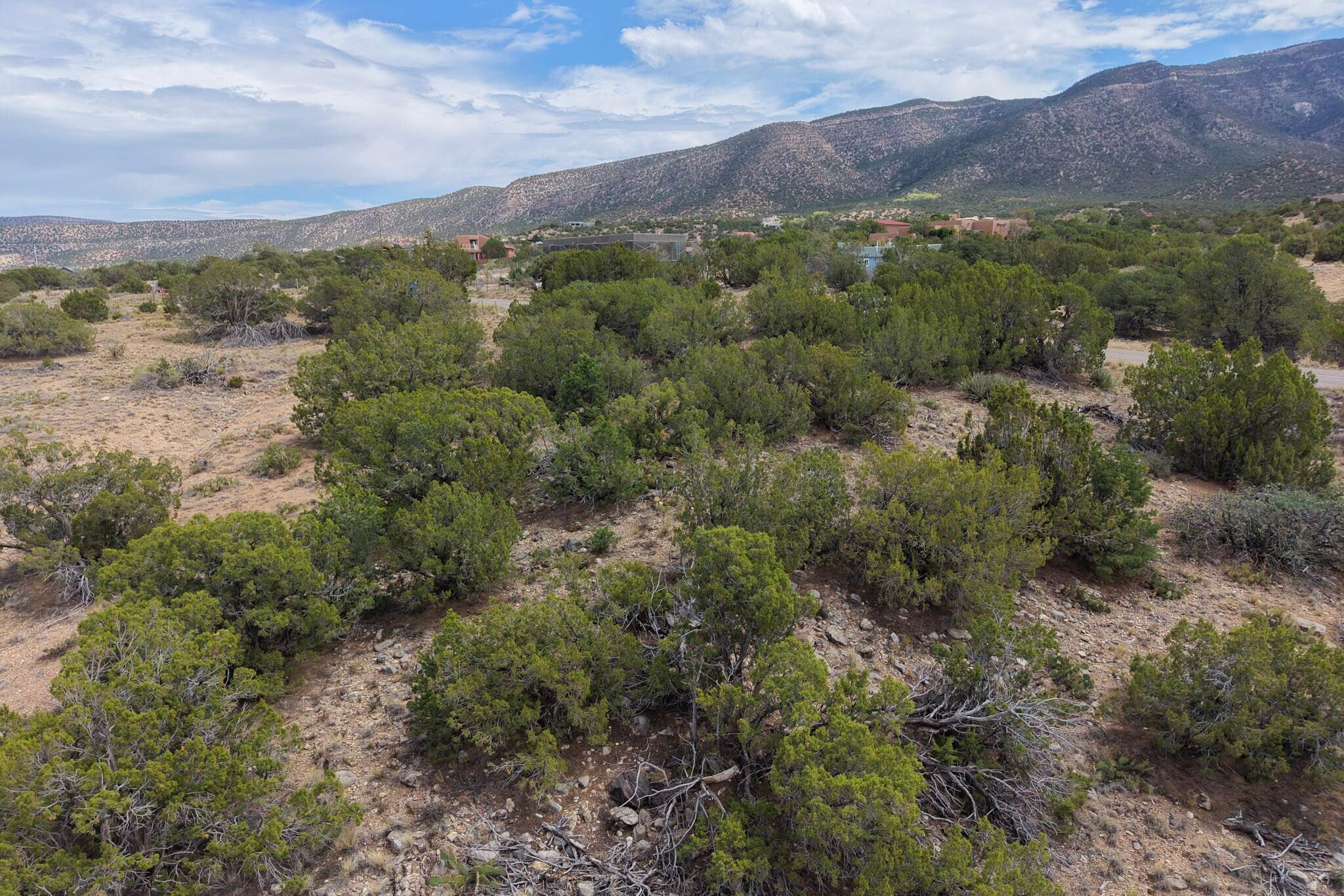 Photo 2 —  Tunnel Springs Road