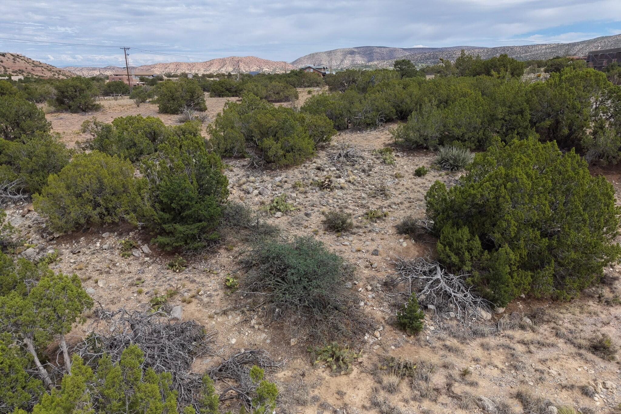 Photo 5 —  Tunnel Springs Road