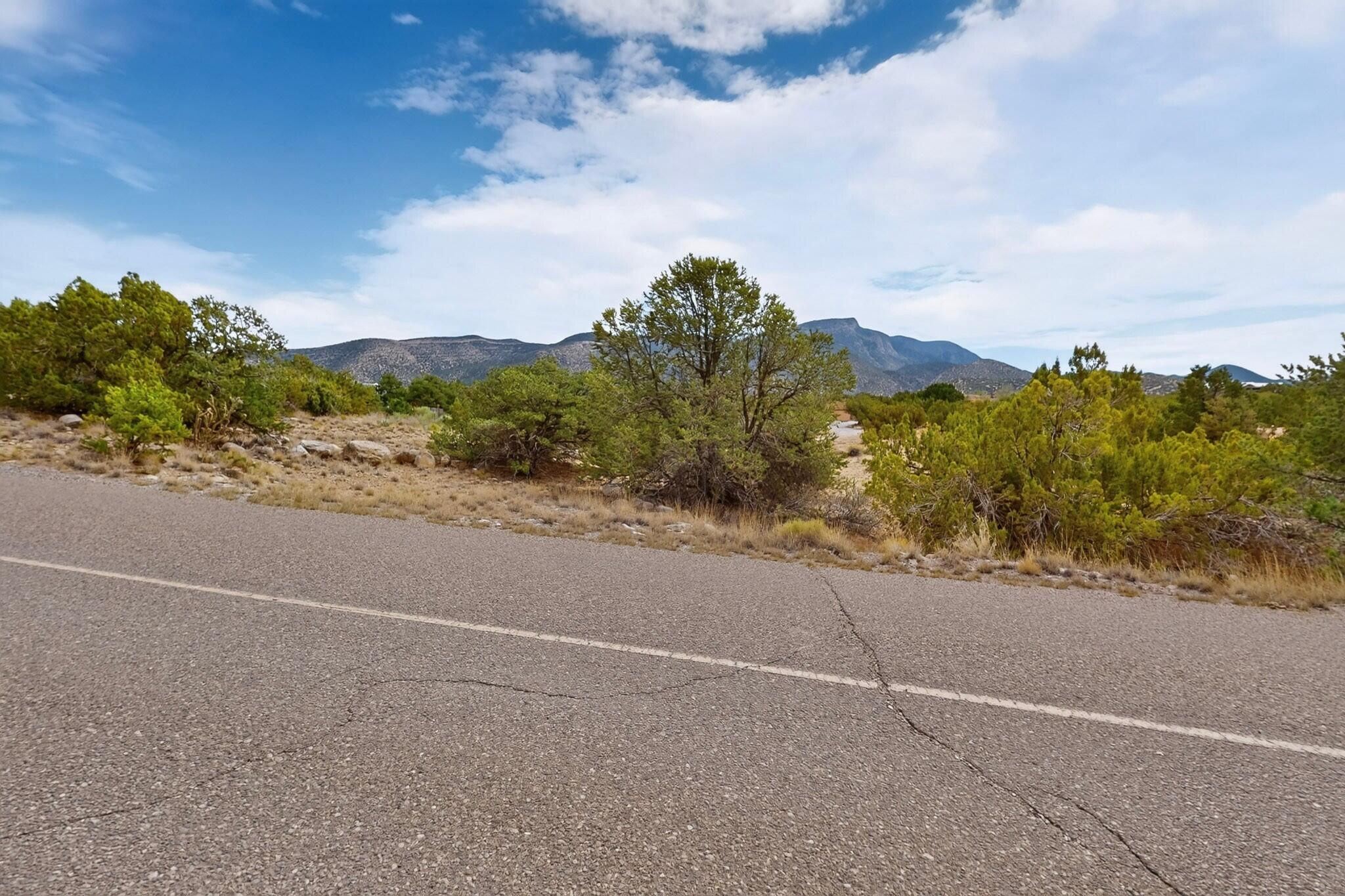 Photo 7 —  Tunnel Springs Road
