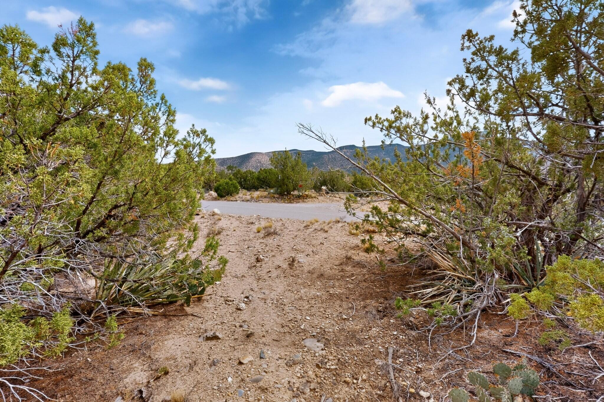 Photo 8 —  Tunnel Springs Road