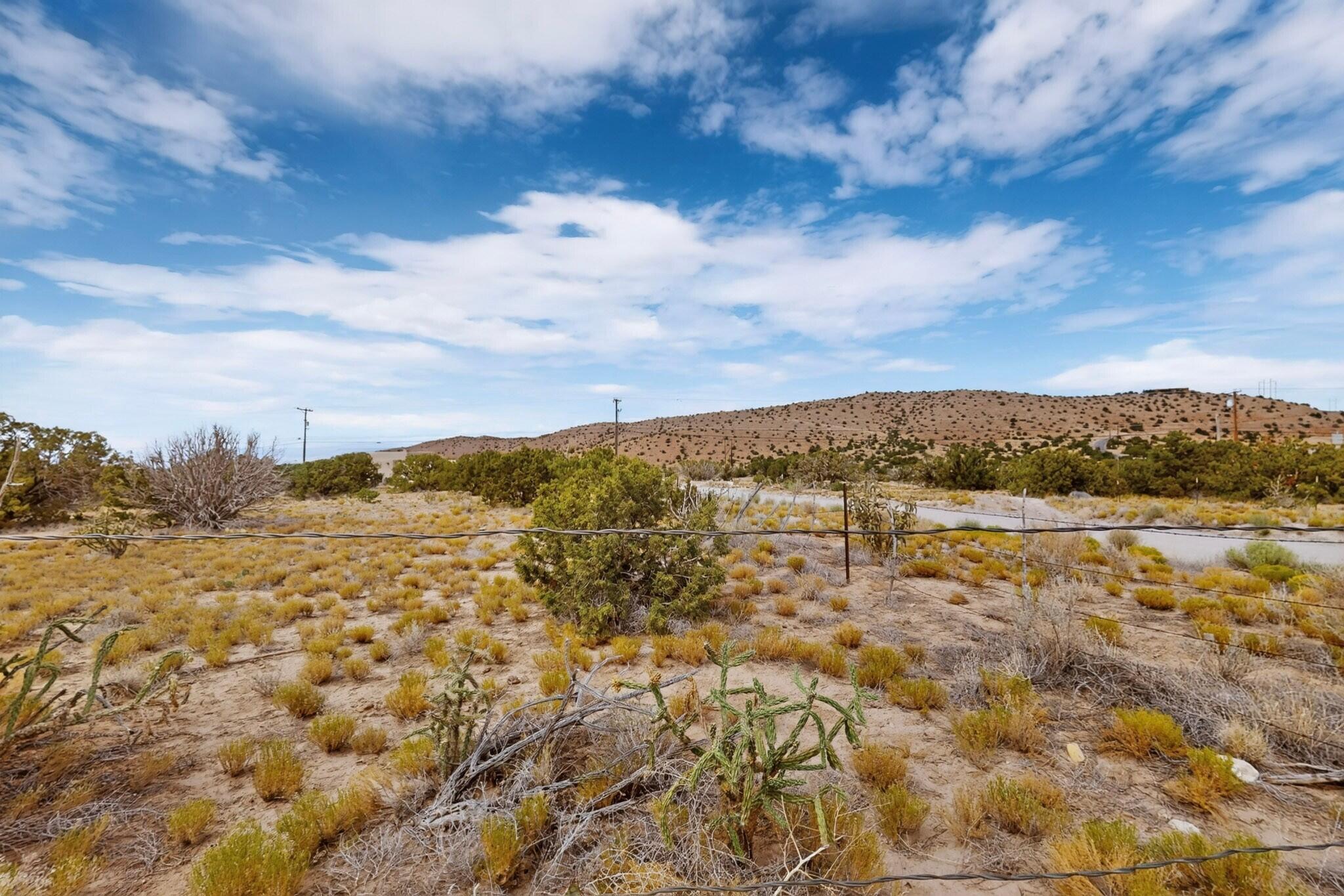 Photo 9 —  Tunnel Springs Road