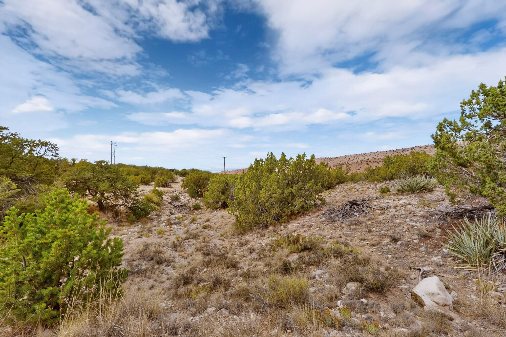 Photo 10 —  Tunnel Springs Road
