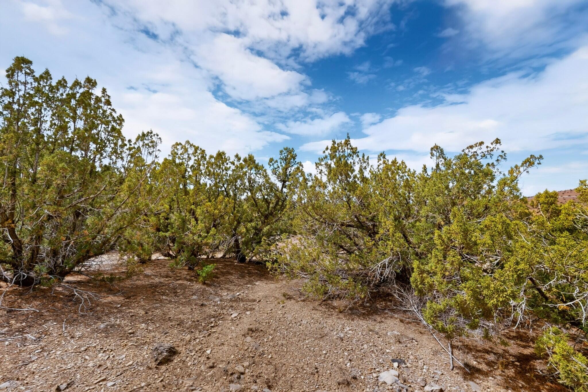 Photo 11 —  Tunnel Springs Road