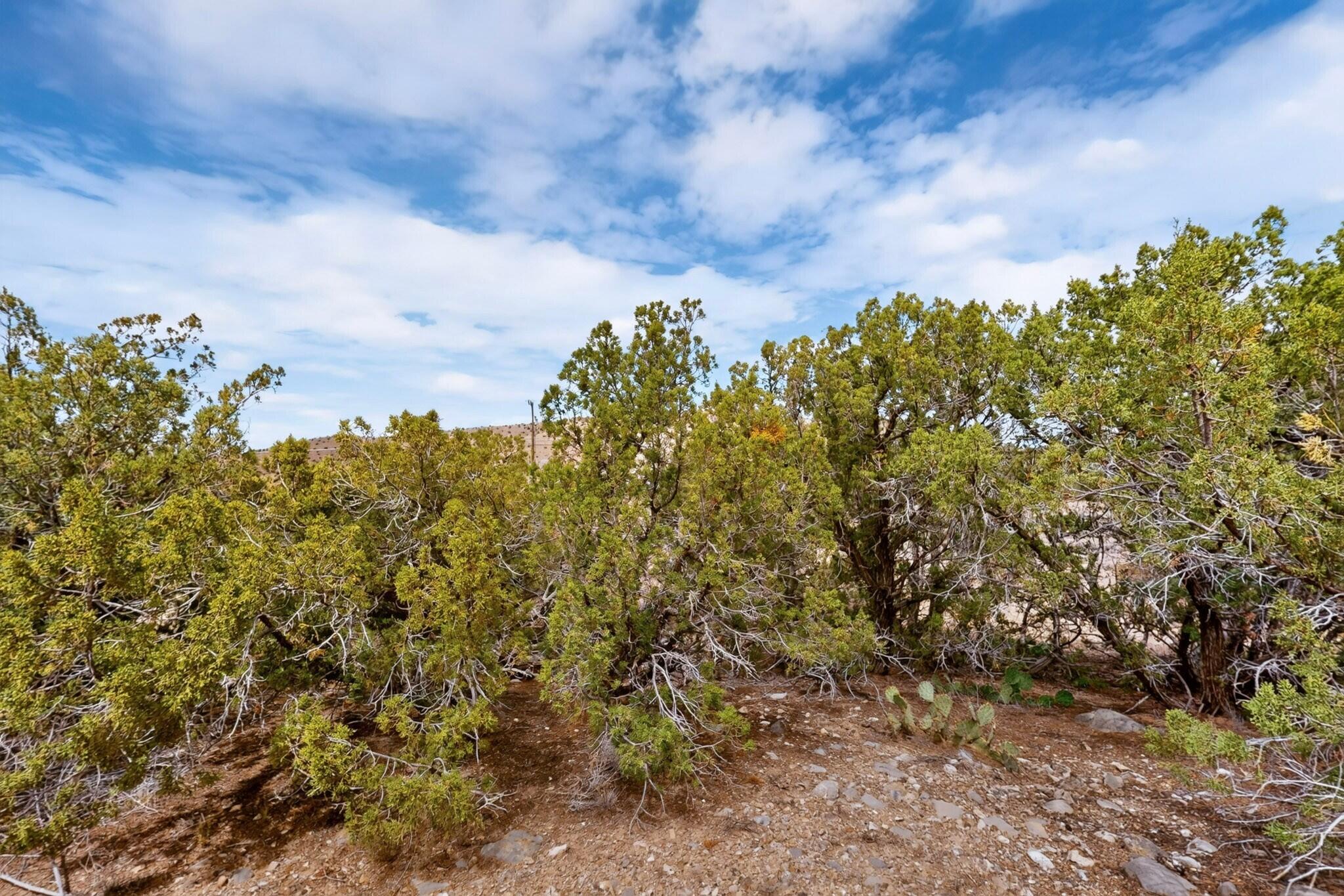 Photo 11 —  Tunnel Springs Road