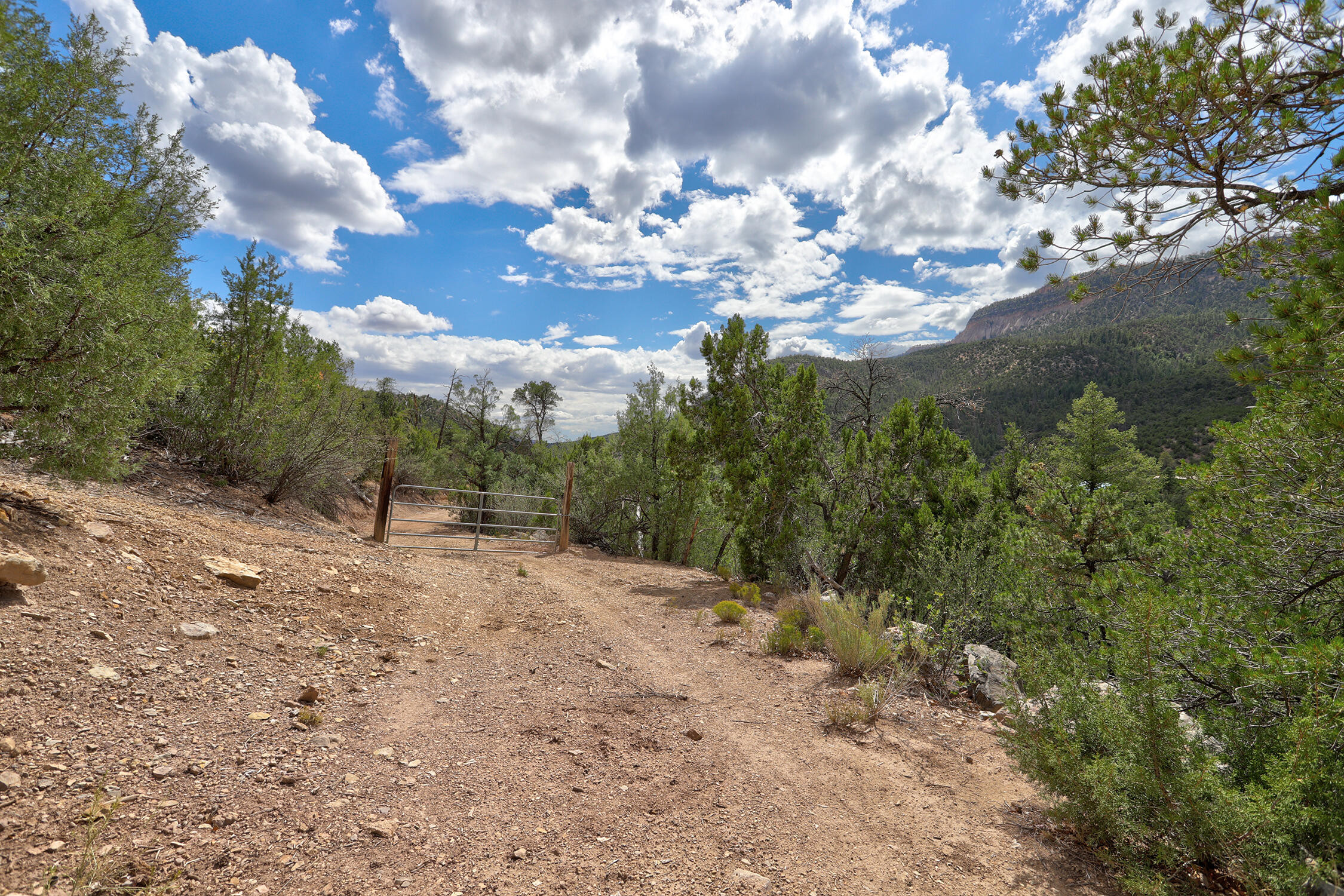 Photo 4 — 73 Indian Mesa Trail
