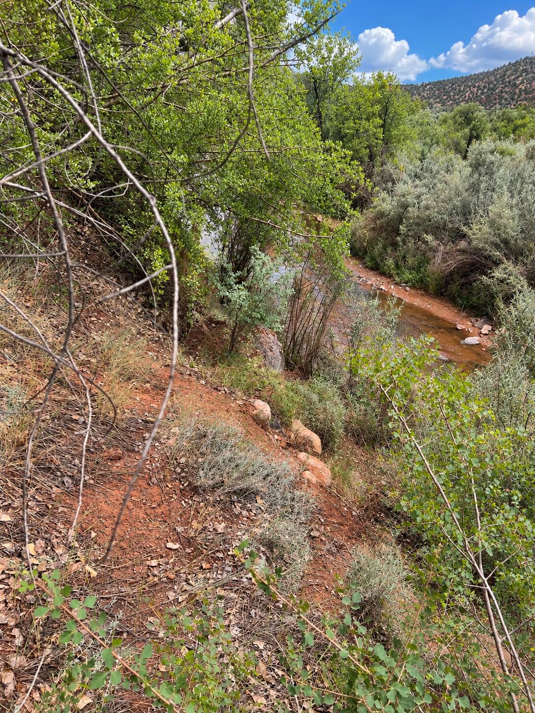 TBD Lot B-1, Jemez Springs, NM 87025