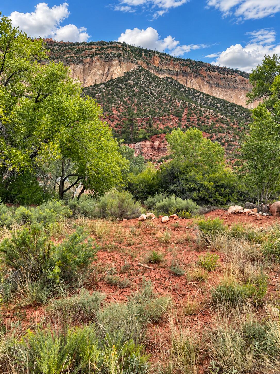 Photo 3 — TBD Lot B-1