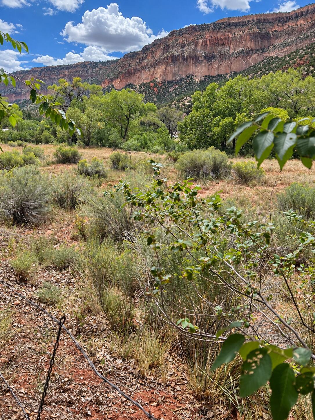 Photo 5 — TBD Lot B-1