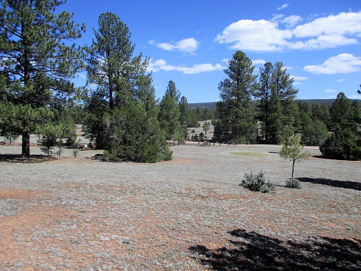 Photo 2 — 18 E Bobcat Drive